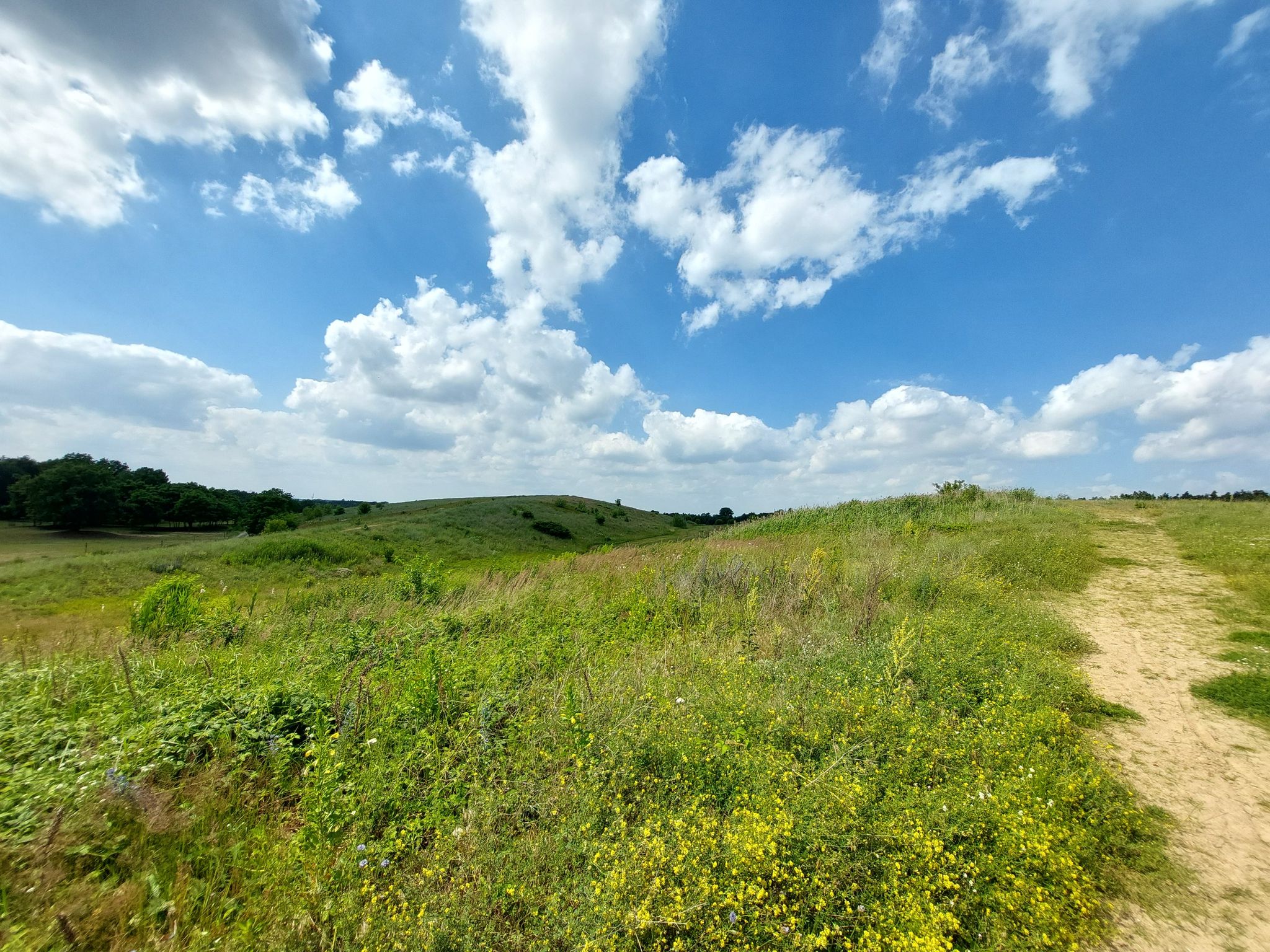 Panorama-Rundweg 🤩