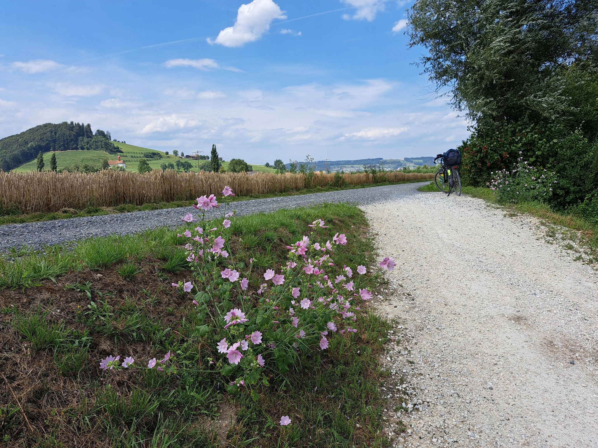 Auf dem Weg nach Sursee