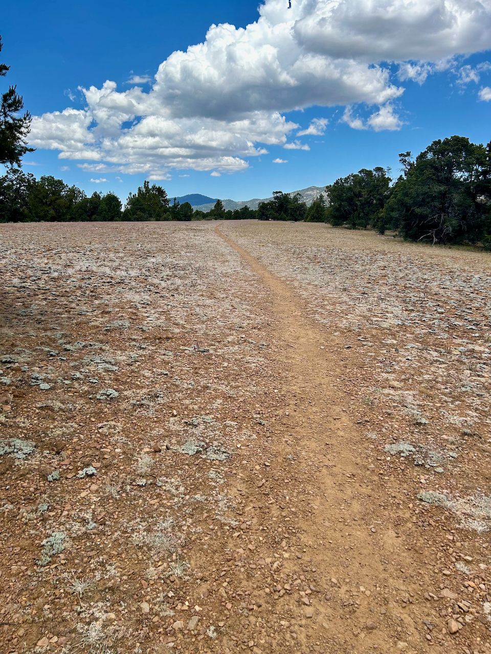 Narrow dirt path crosses a rocky, dry field under a cloudy blue sky. - Sawmill Pebble Plain via Travertine