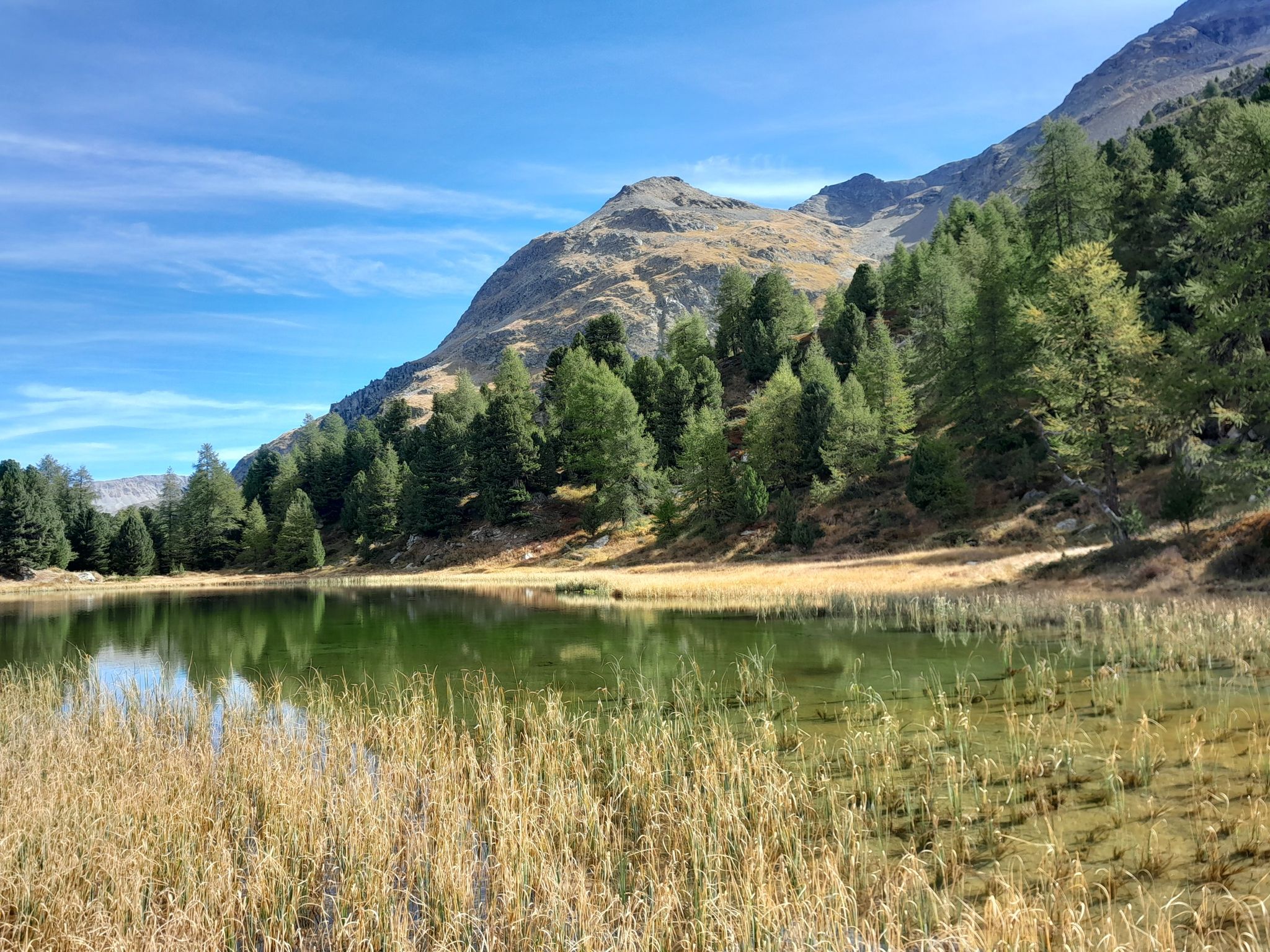 Samedan
