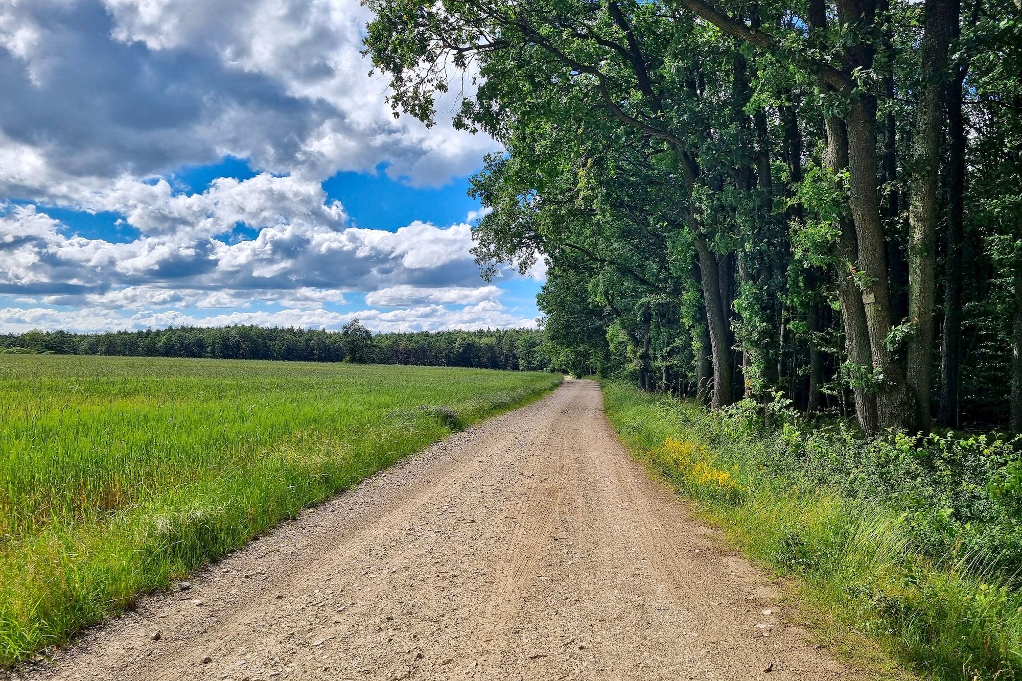 Weiter auf dem Höhenweg
