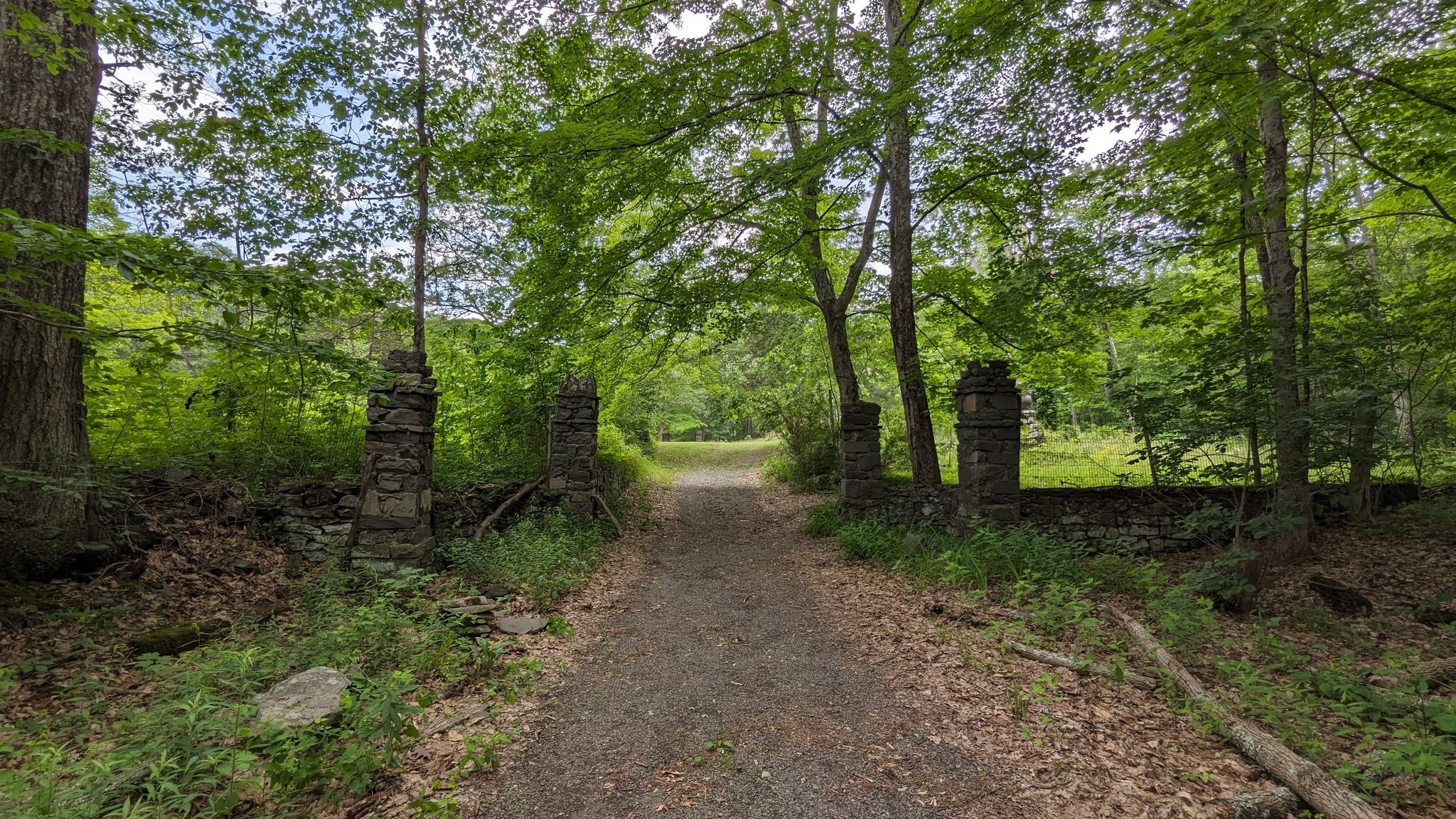 Dirt path through stone gateposts leads into a sunlit green forest. - Ridge and Chodikee Trail Loop