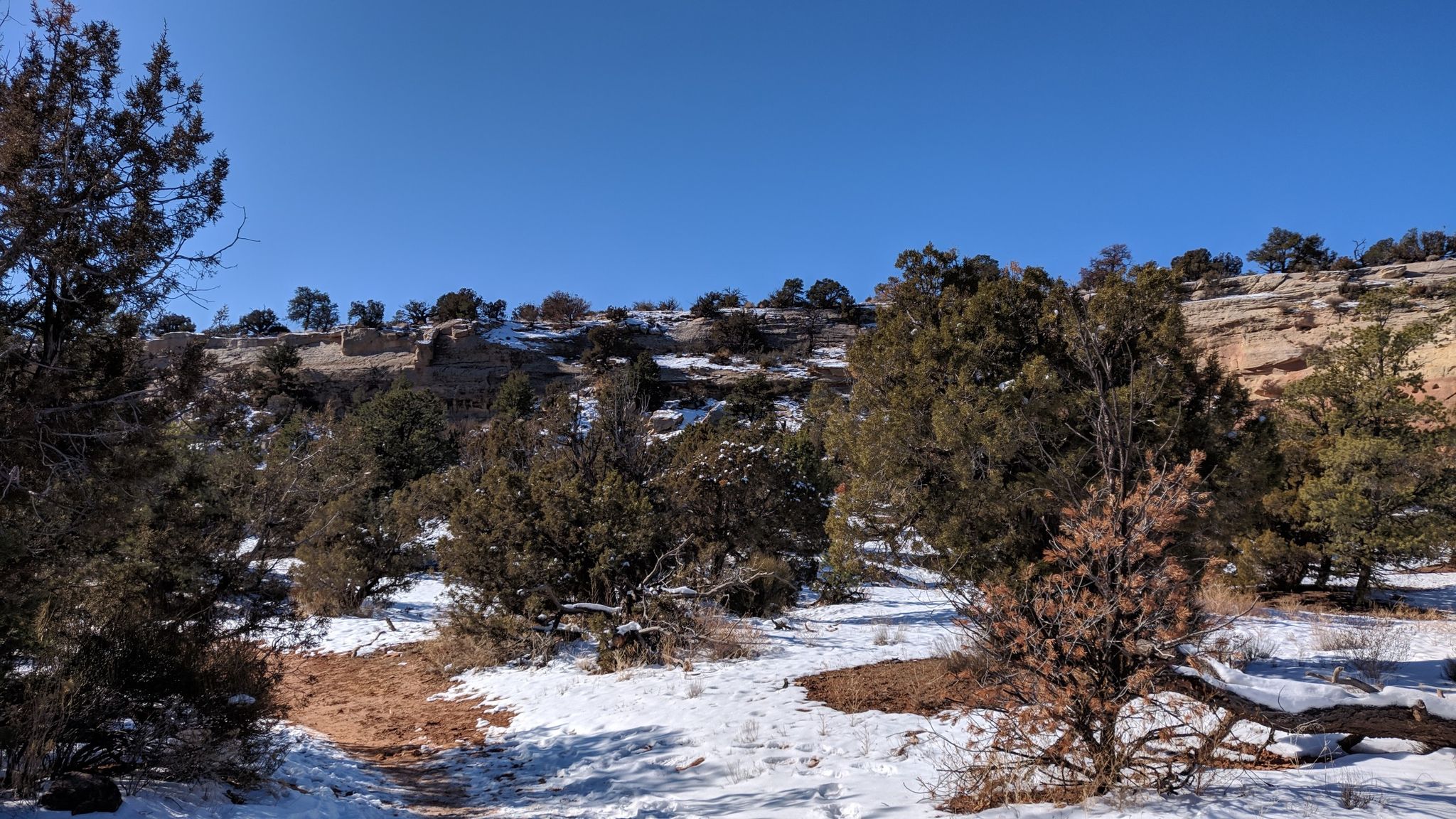 Snowy desert landscape with green juniper trees and red rock cliffs under blue sky. - Saddlehorn Pueblo – Sand Canyon Trail loop from Lamb Cemetery