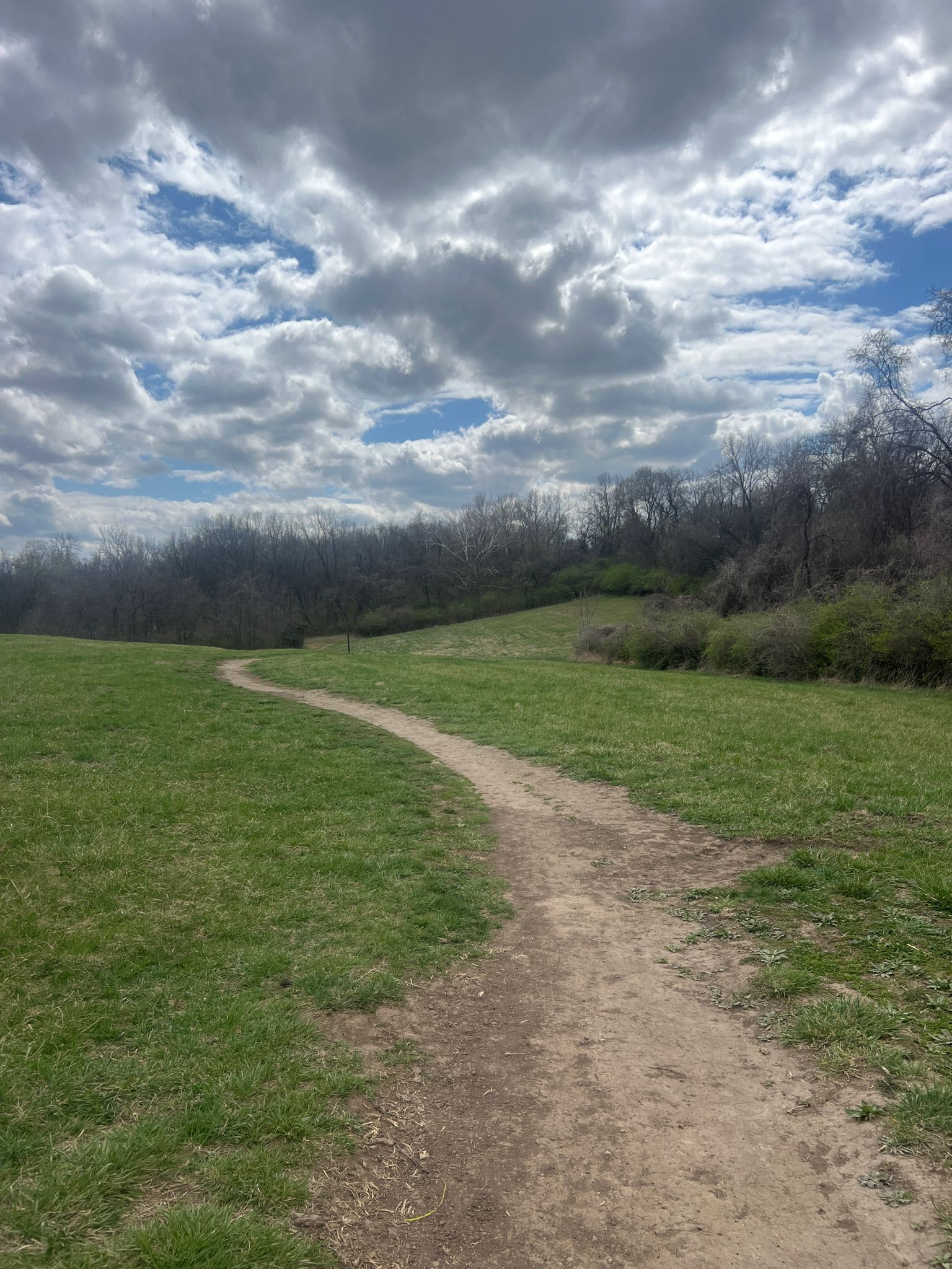 A winding dirt path through a bright green field under a cloudy sky. - Cool Ranch