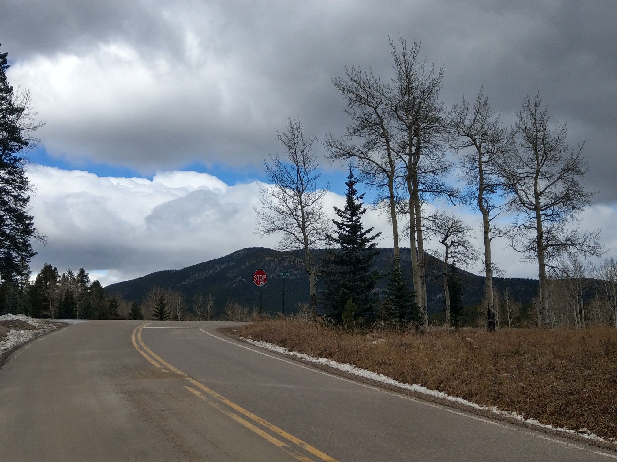 A winding road through bare trees and pines, with a mountain backdrop. - Witter Gulch Road – Witter Gulch Climb loop from Krinder Peak
