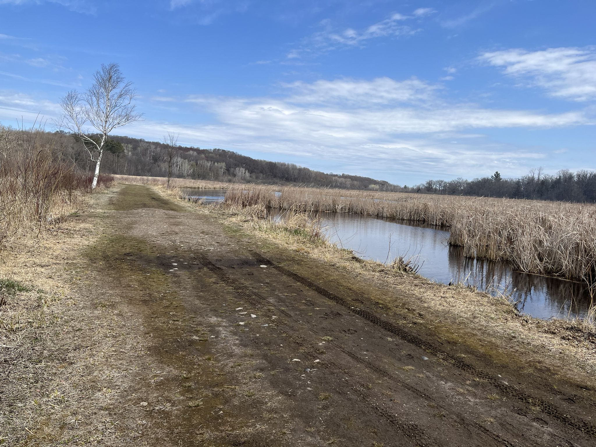 A dirt path runs alongside a marshy river under a bright blue sky. - Lake Alice loop from William O'Brien State Park