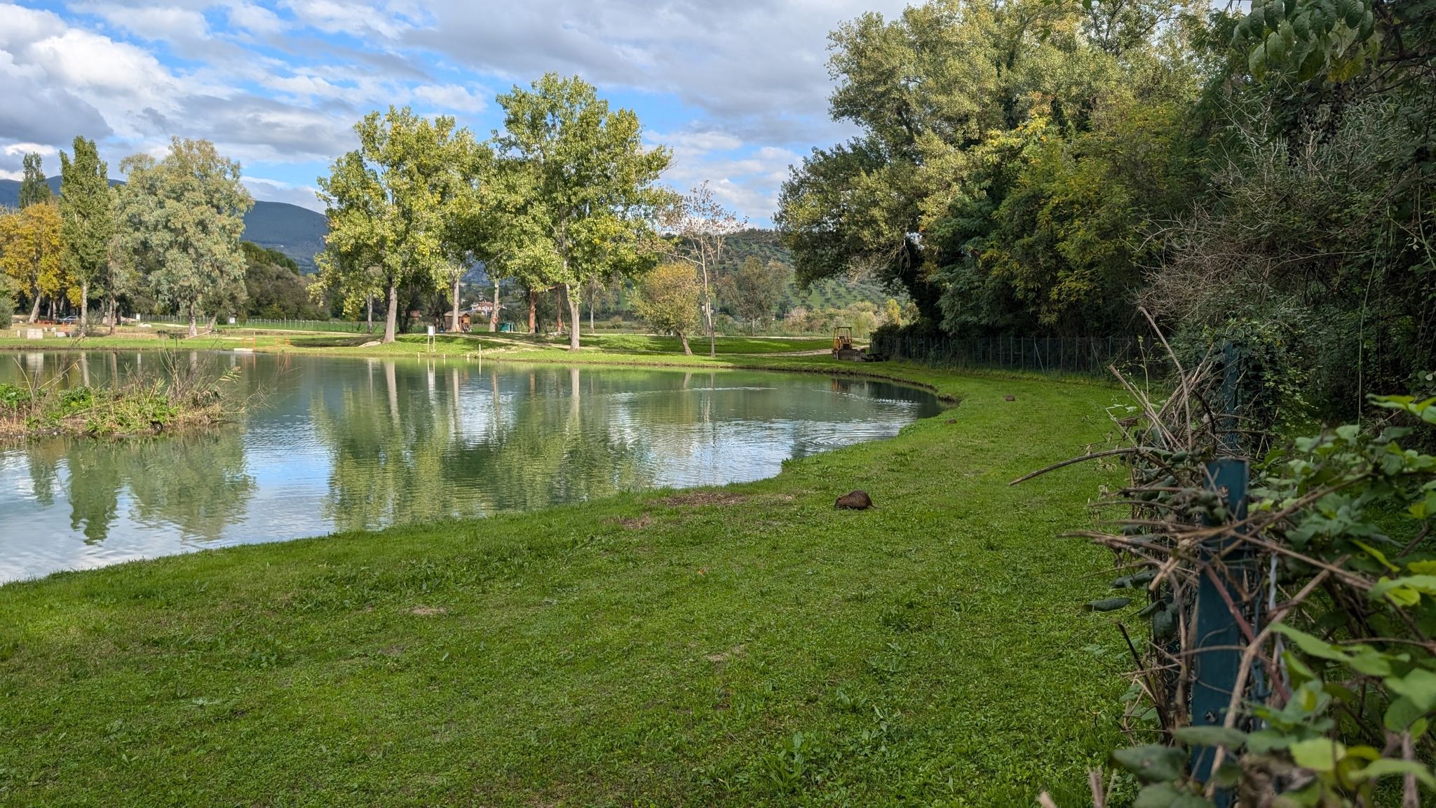 Fischteichen bei Farfa