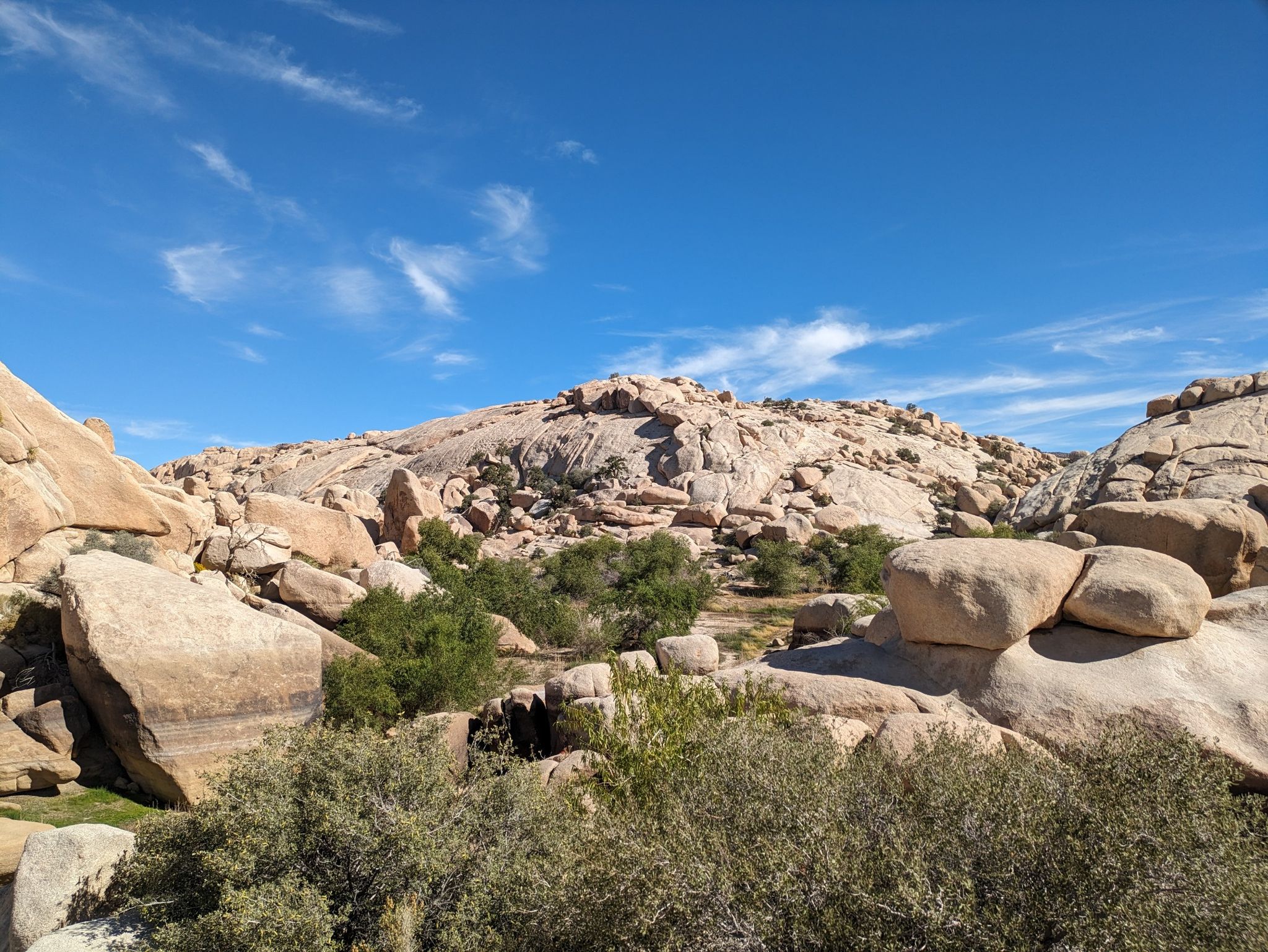 Rocky desert landscape with boulders and green shrubs under a blue sky. - Barker Dam Nature Trail