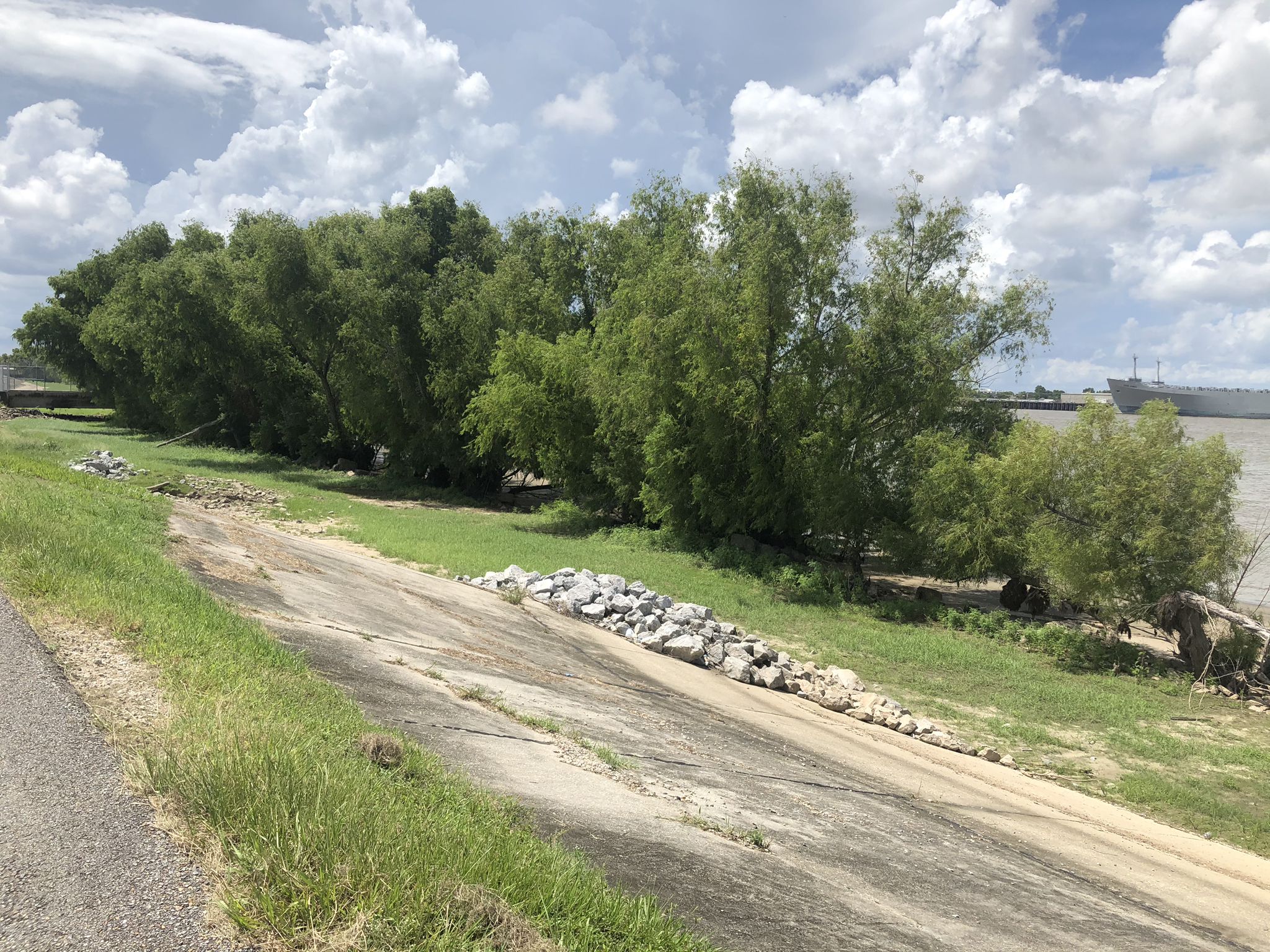 Grassy riverbank with concrete slope, line of trees, and cloudy sky. - Jackson Square – Steamboat Natchez loop from New Orleans