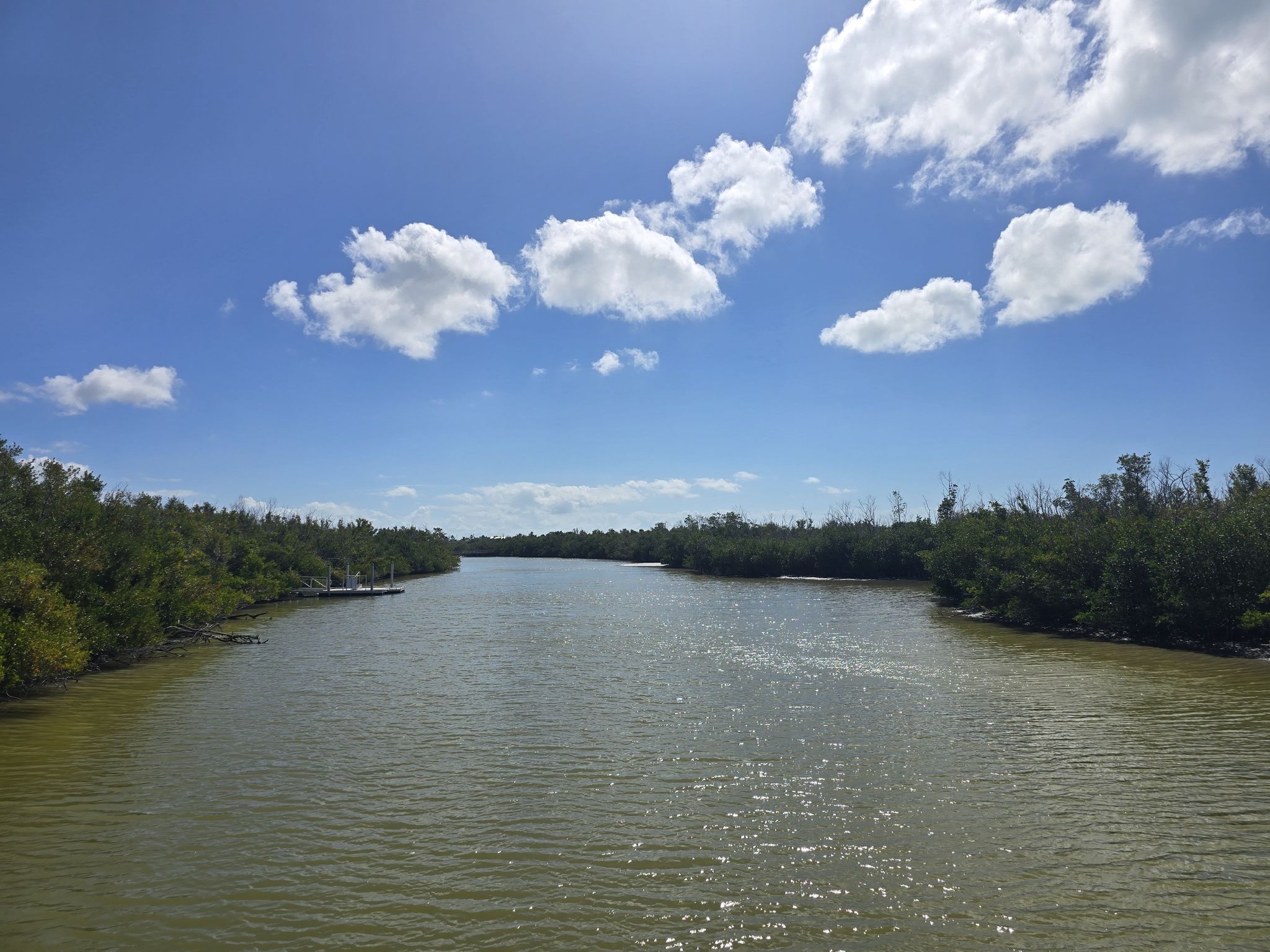 Expansive water channel bordered by lush green trees under a bright blue sky. - Bowman's Beach Park