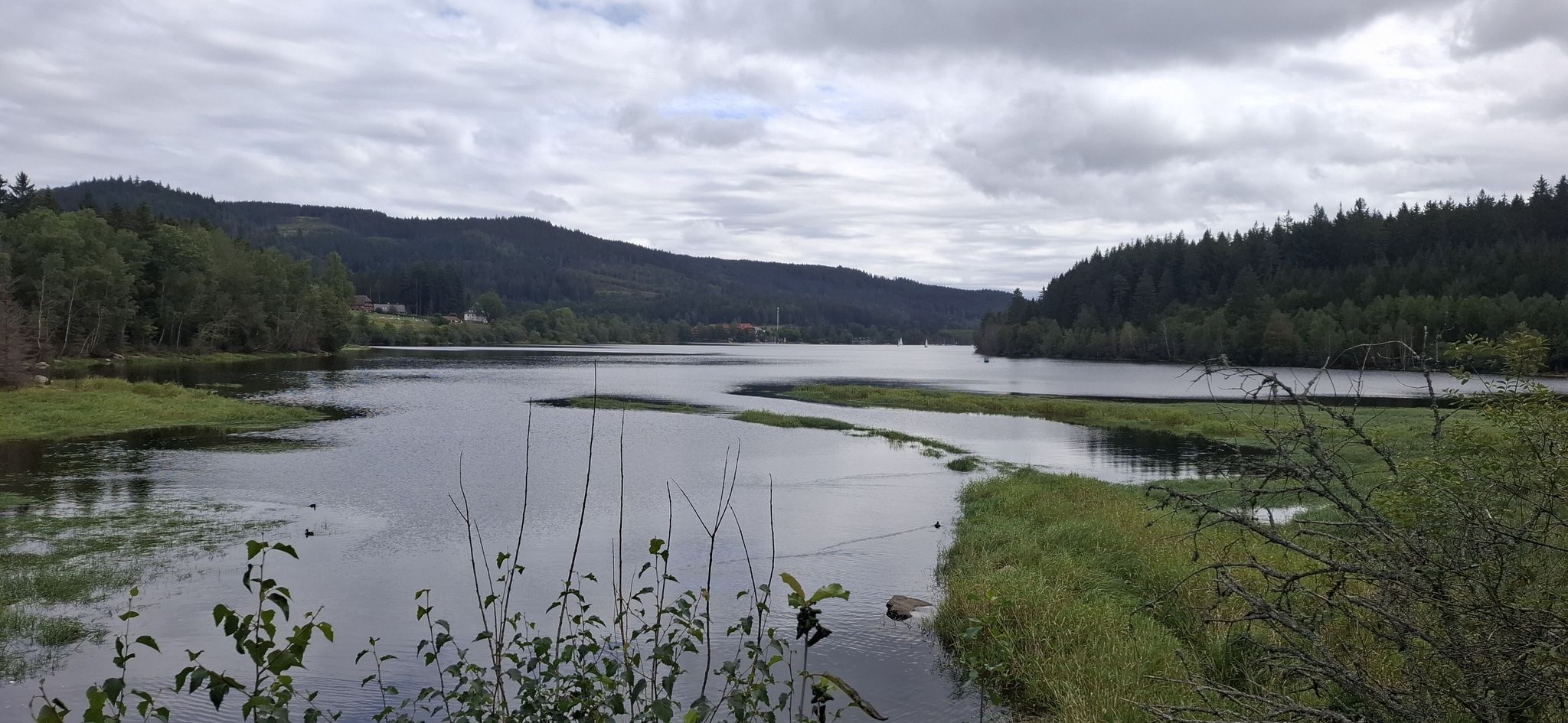 schluchsee see