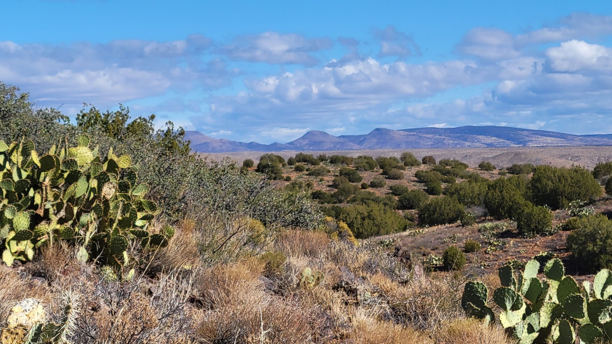 Wide desert landscape with cacti, shrubs, and distant mountains under a cloudy sky. - Copper Mountain Loop