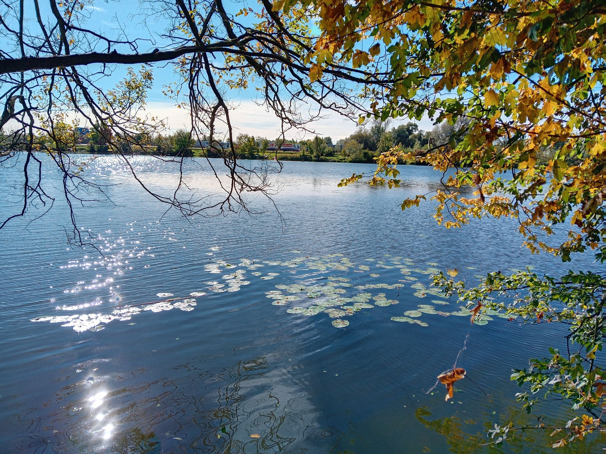Burgauer See