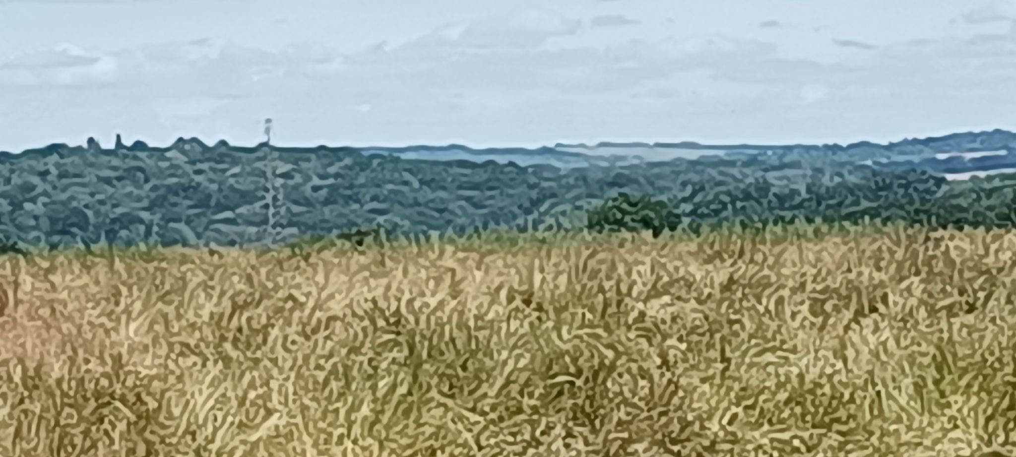 Farley Mt. from Stoke park Woods