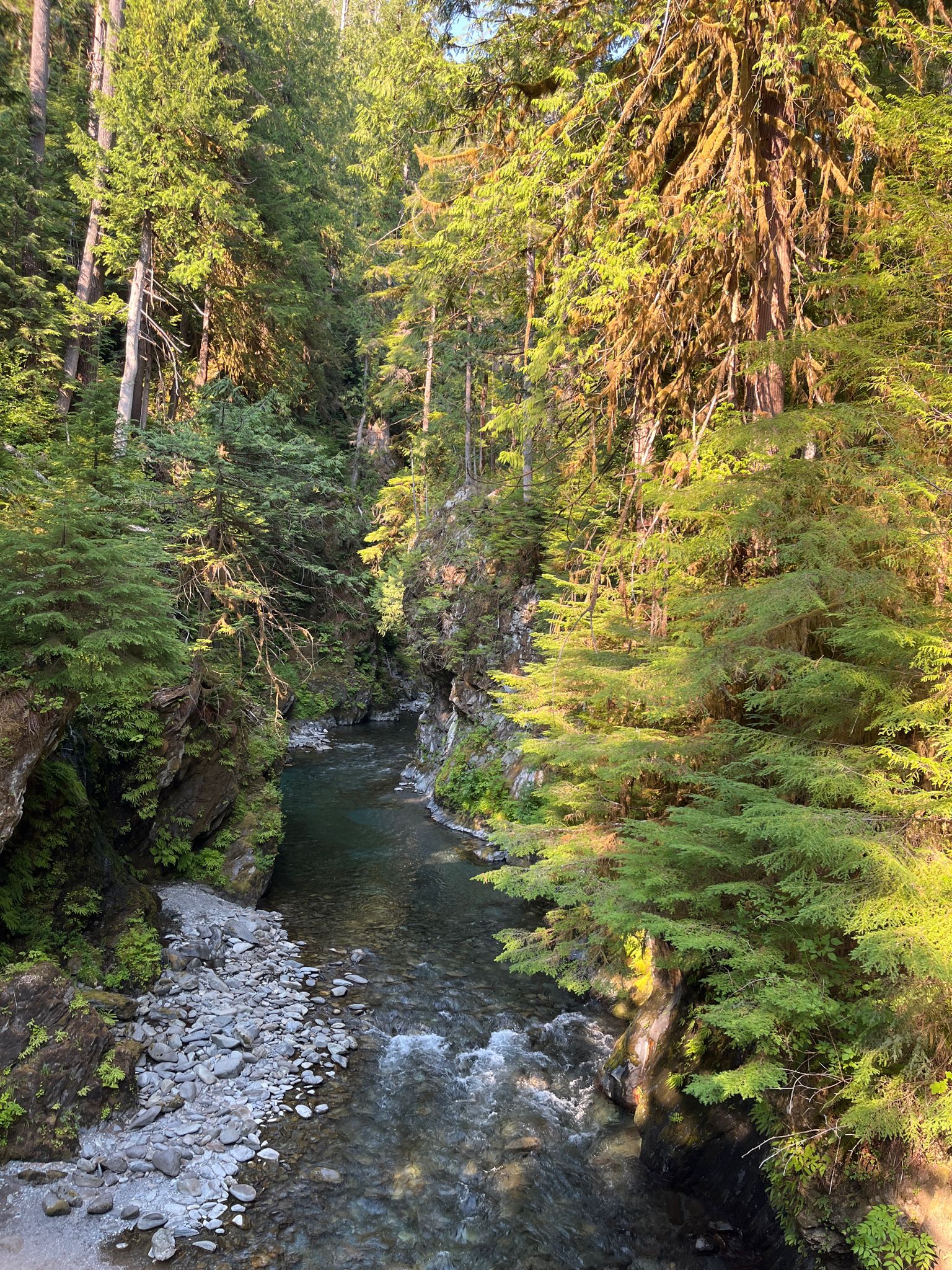 A clear river flows through a narrow, sunlit forest gorge with rocky banks. - East Fork Quinault River Trail