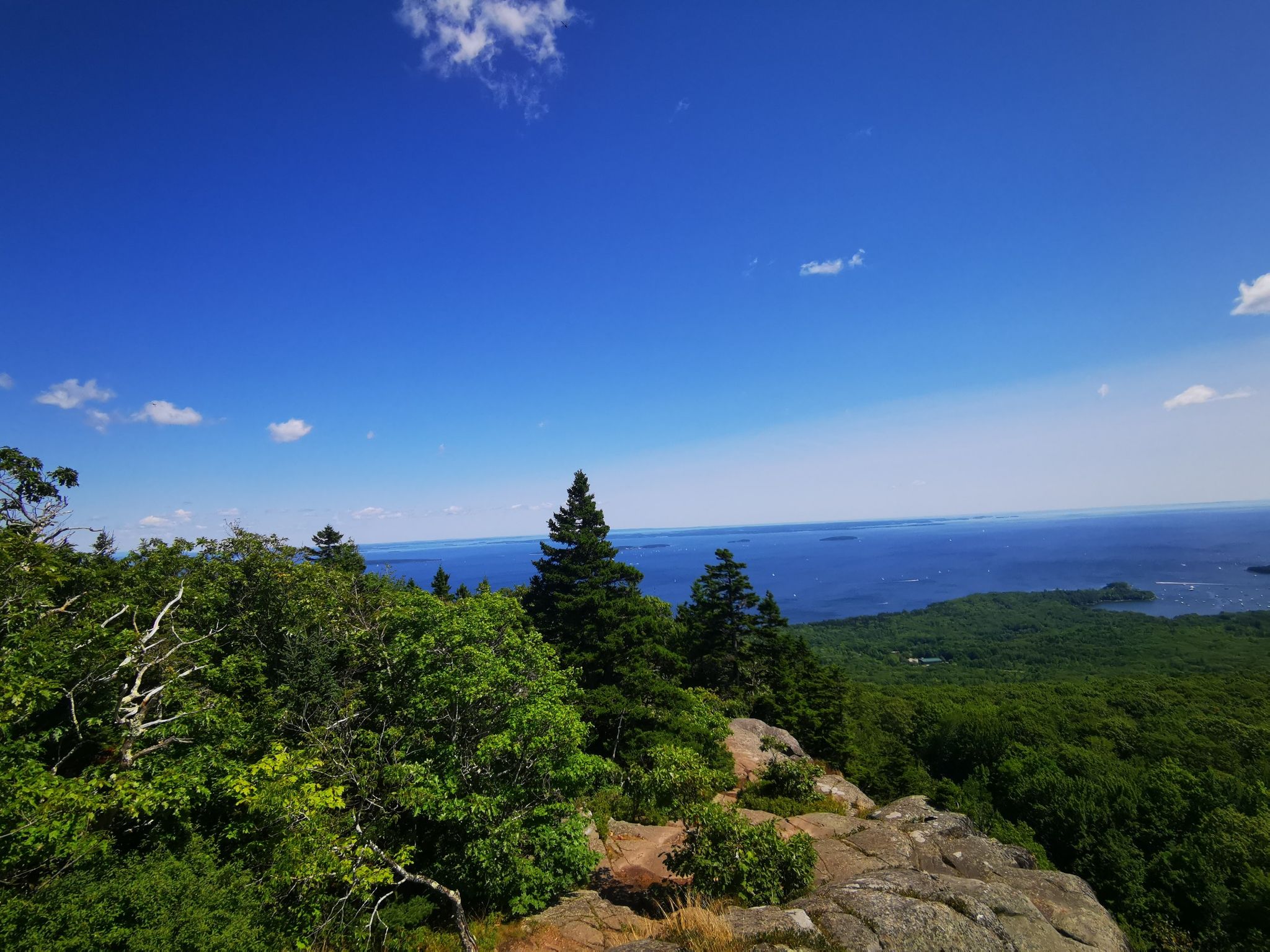 Rocky outcrop and evergreen trees overlook a vast blue body of water. - Ocean Lookout via Nature Trail Loop