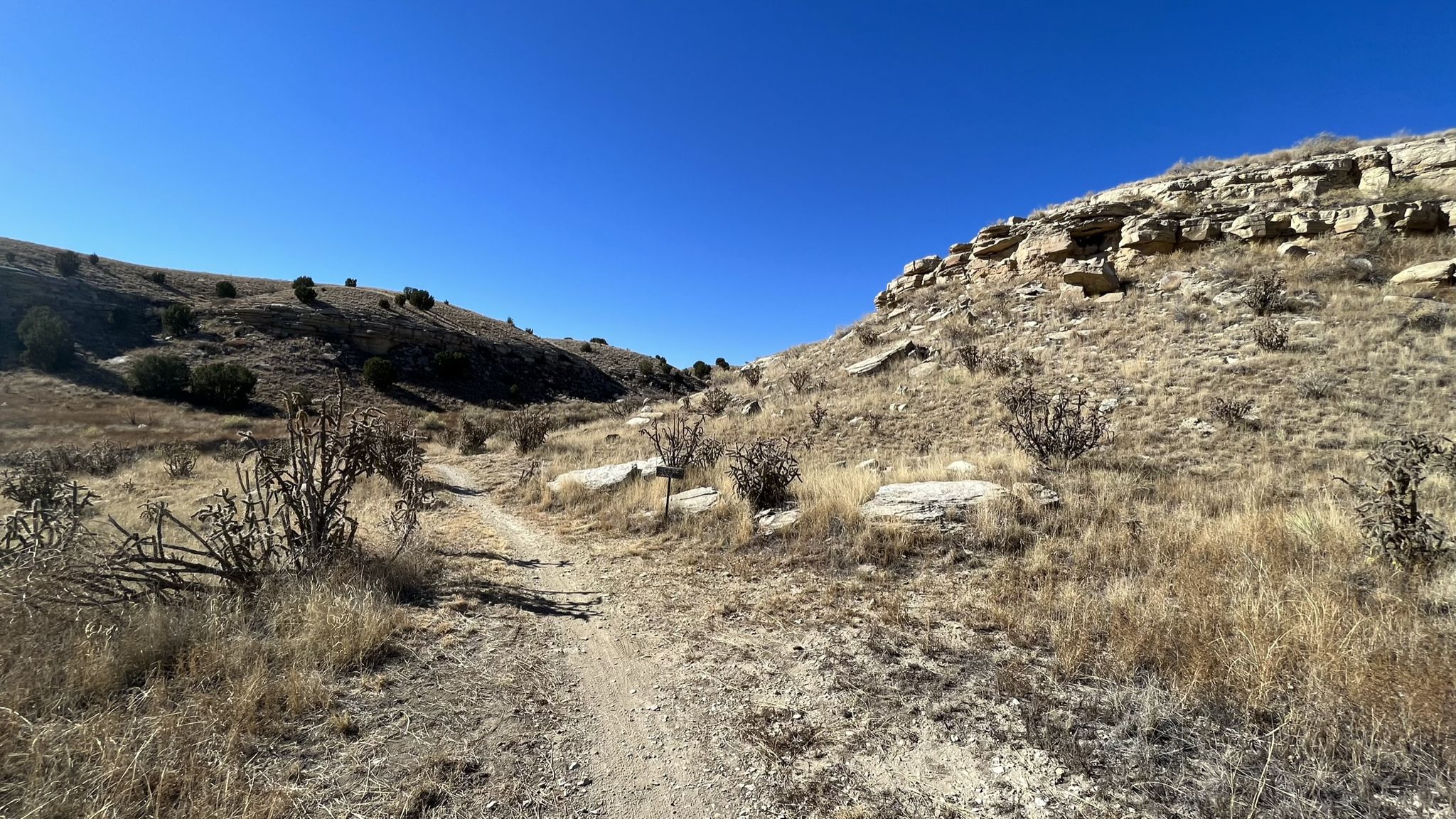 Dirt path winding through dry, rocky hills with sparse desert plants. - South Shore Loop