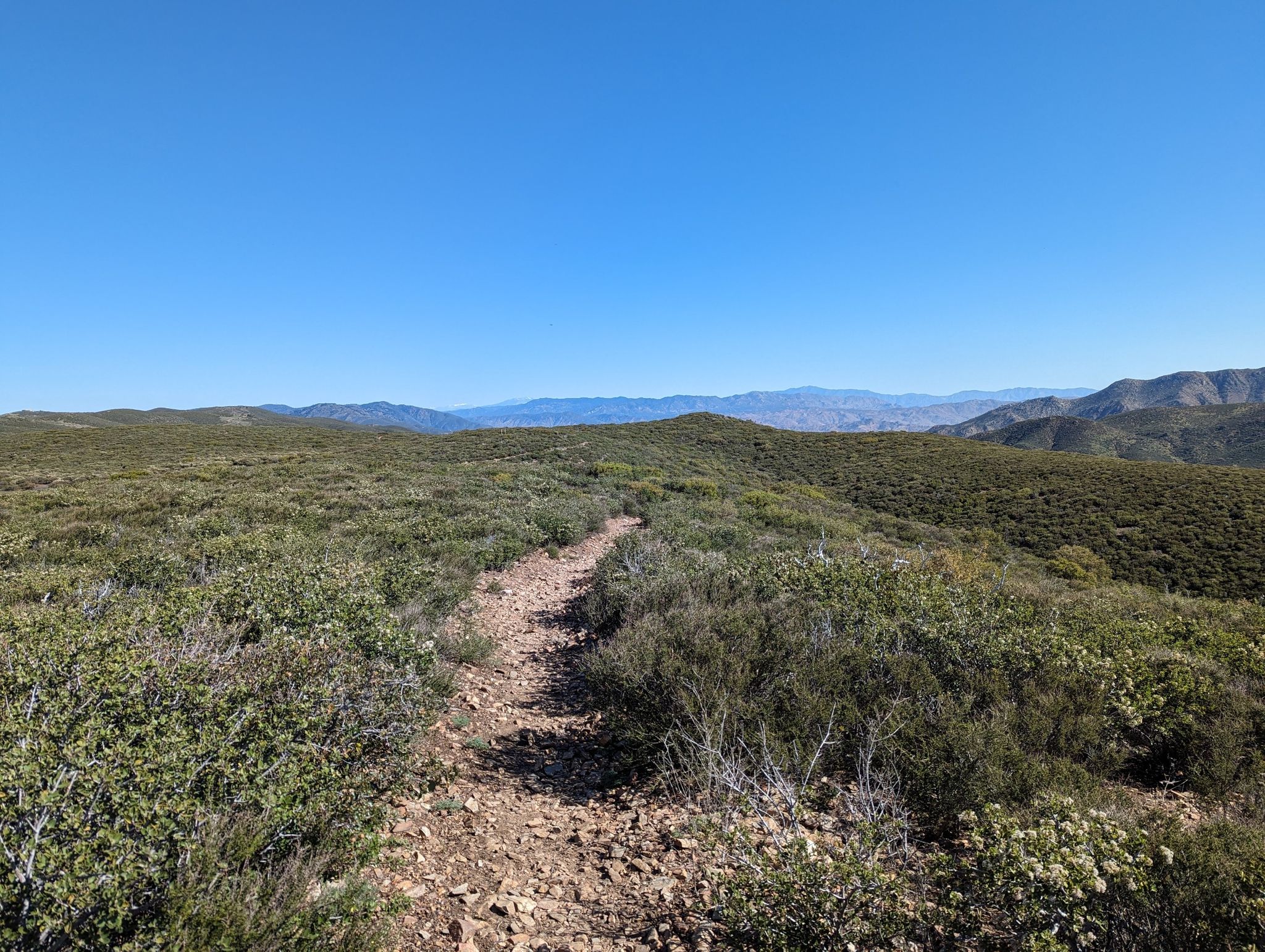 A rocky trail traverses a ridge through green scrub under a clear blue sky. - Box Canyon loop from Oriflamme Mine