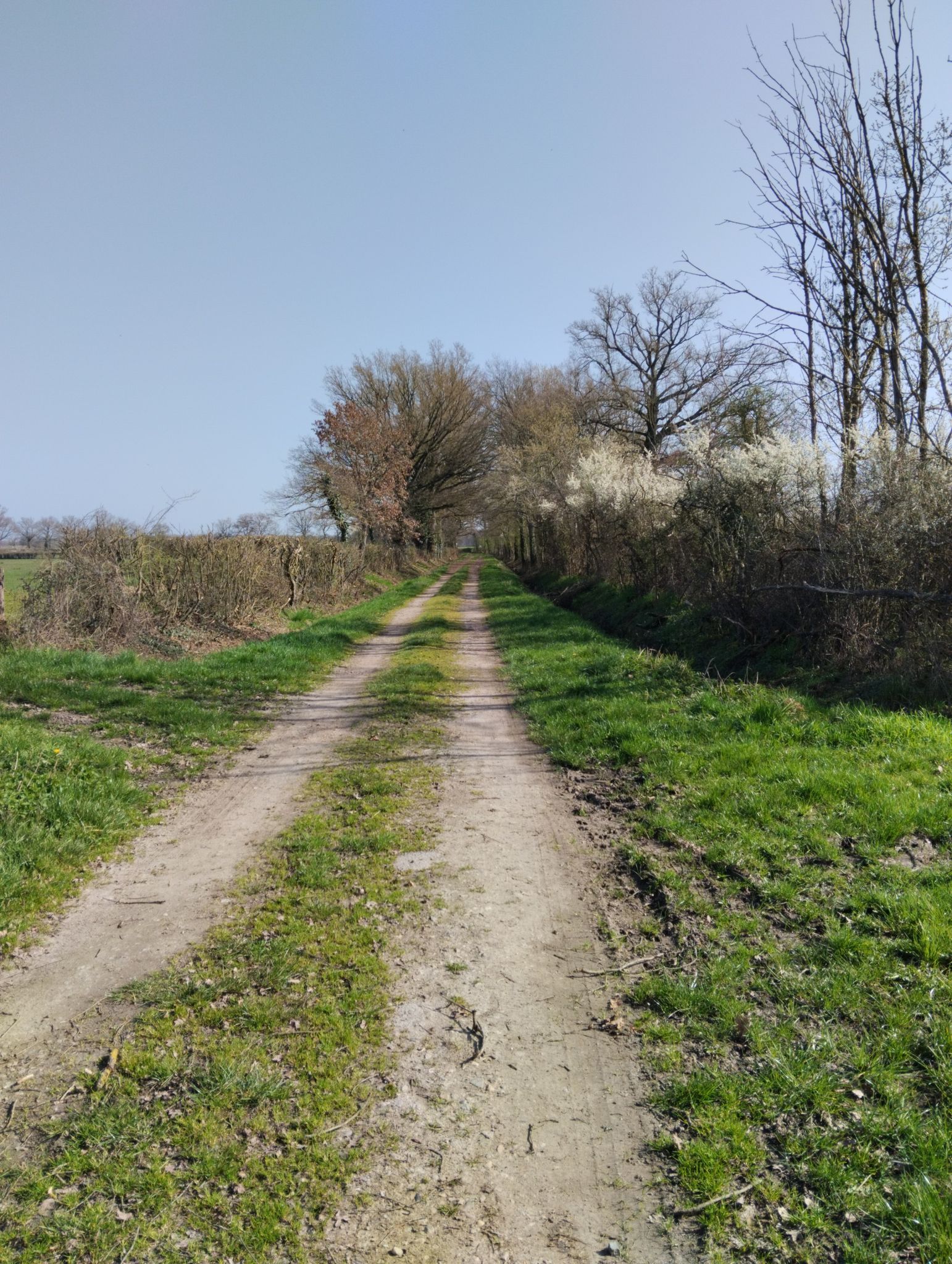 chemin