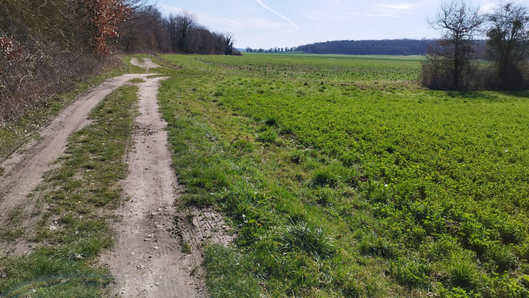 Il fait très beau ☀️