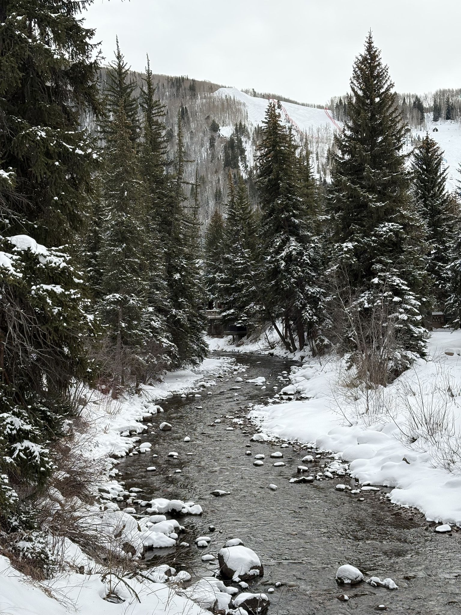 Winter stream winding through snow-covered evergreens and a distant snowy slope. - Gore Creek Trail – Vail loop from Chamonix Lane