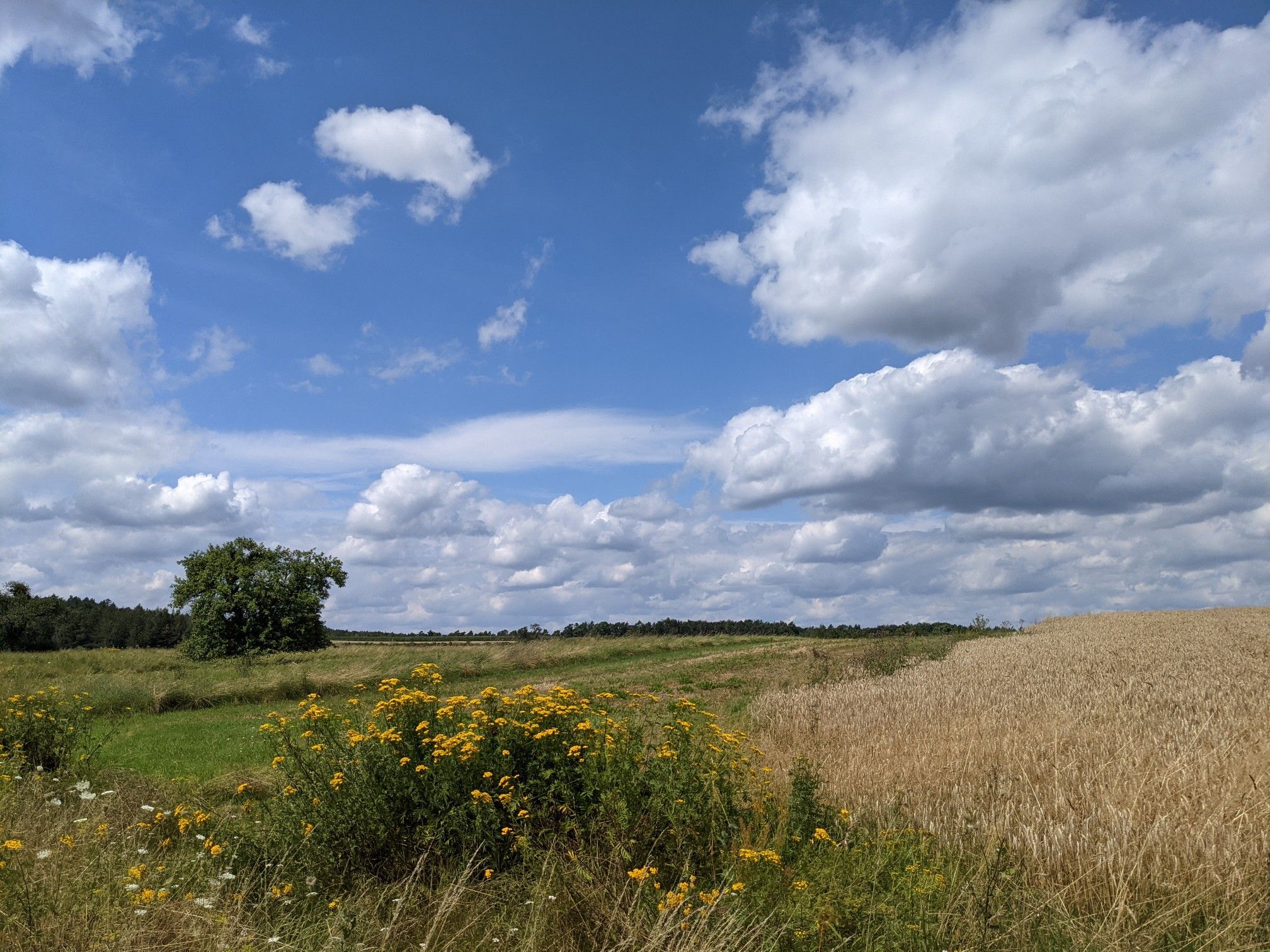 Der schöne Rennweg