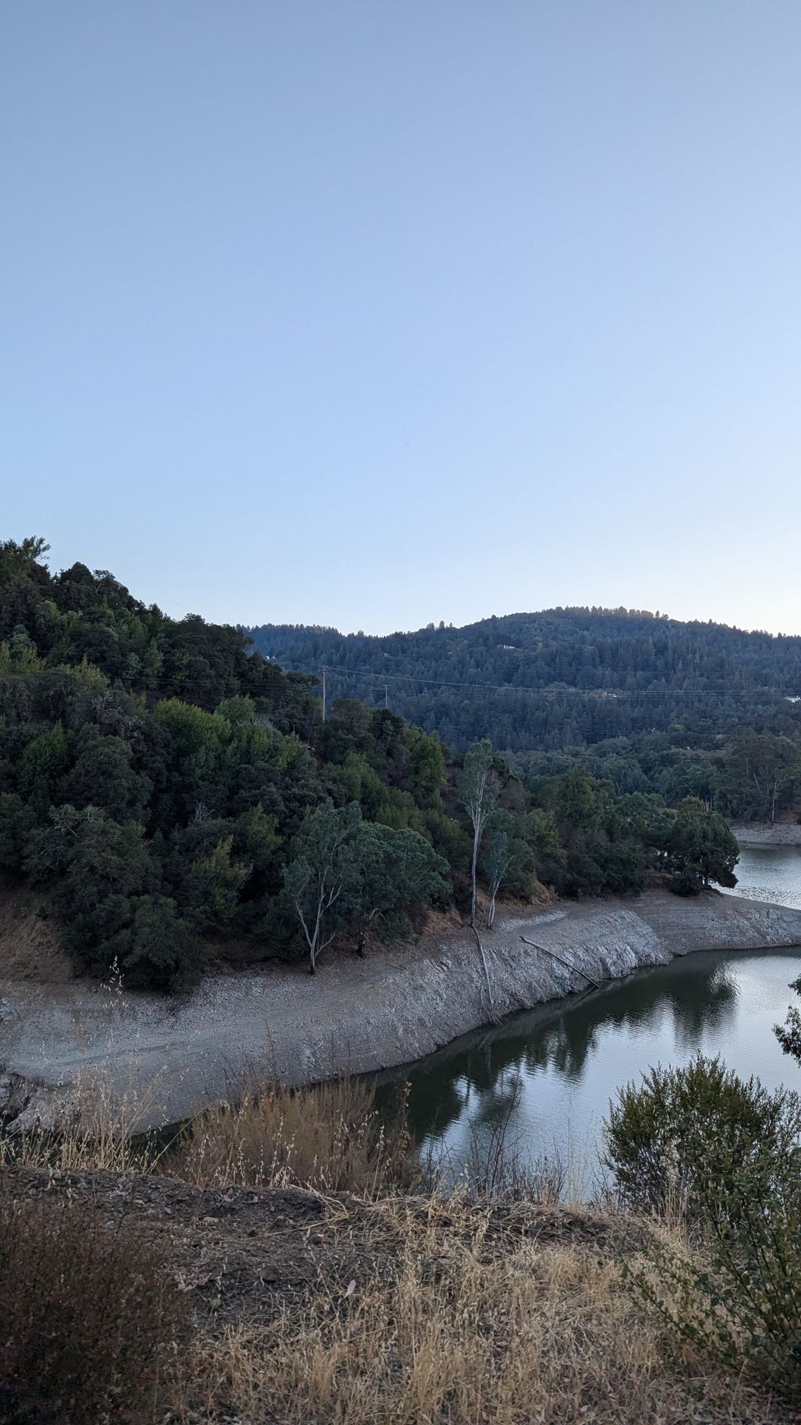A calm lake reflecting forested hills under a clear, soft sky. - Lexington Reservoir loop from Oak Meadow