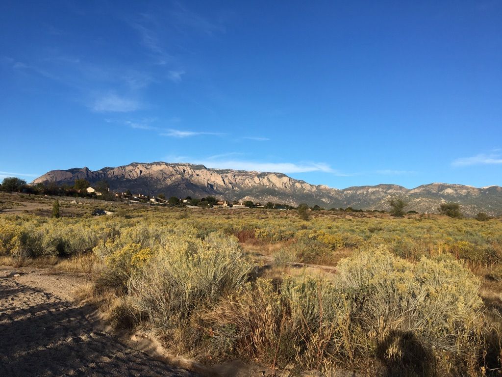 Green desert shrubs in foreground, with distant mountains under a clear blue sky. - Bear Canyon Open Space Loop