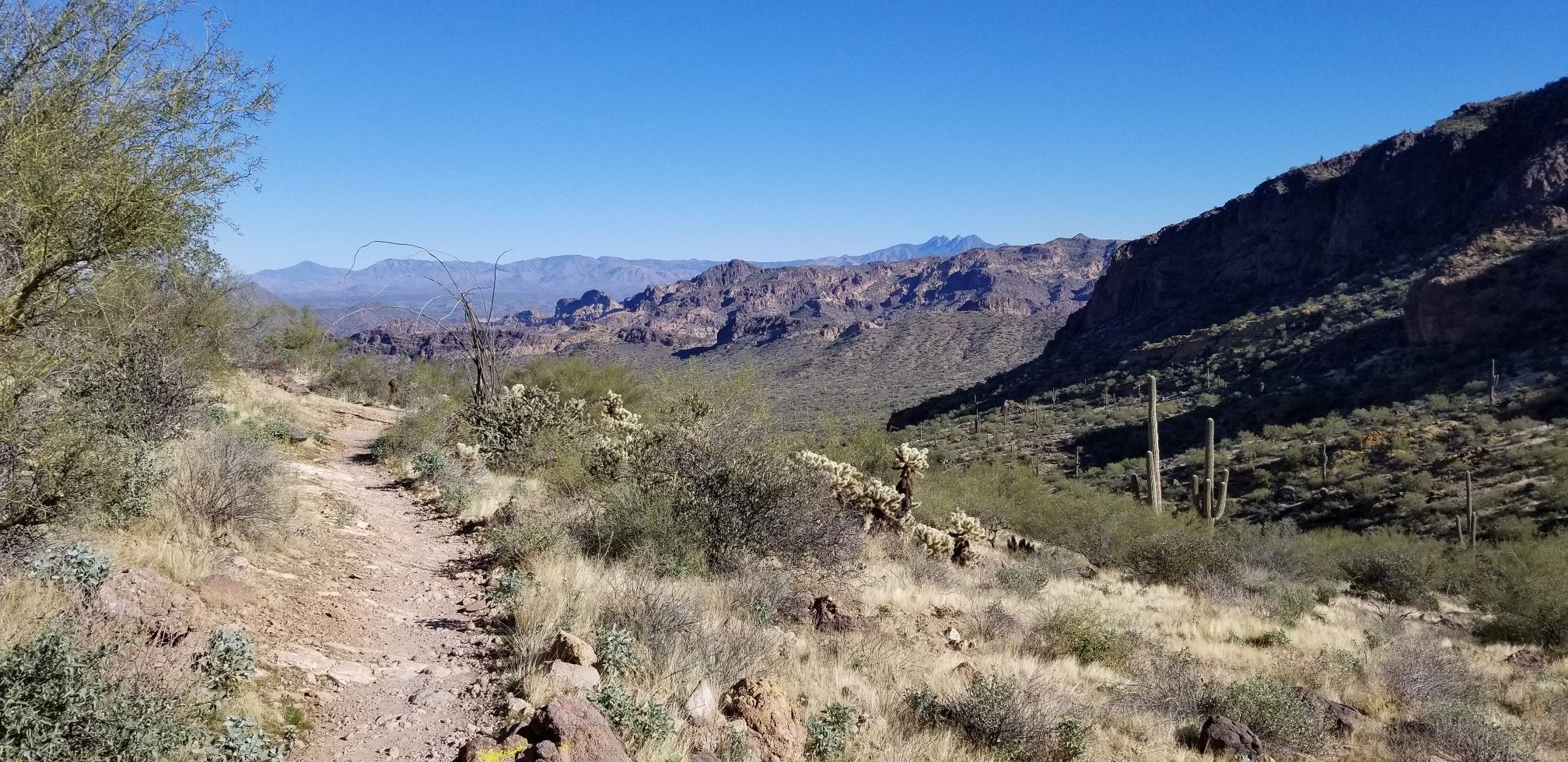 A winding dirt trail through a desert valley with distant mountains. - Pass Mountain Trail Loop