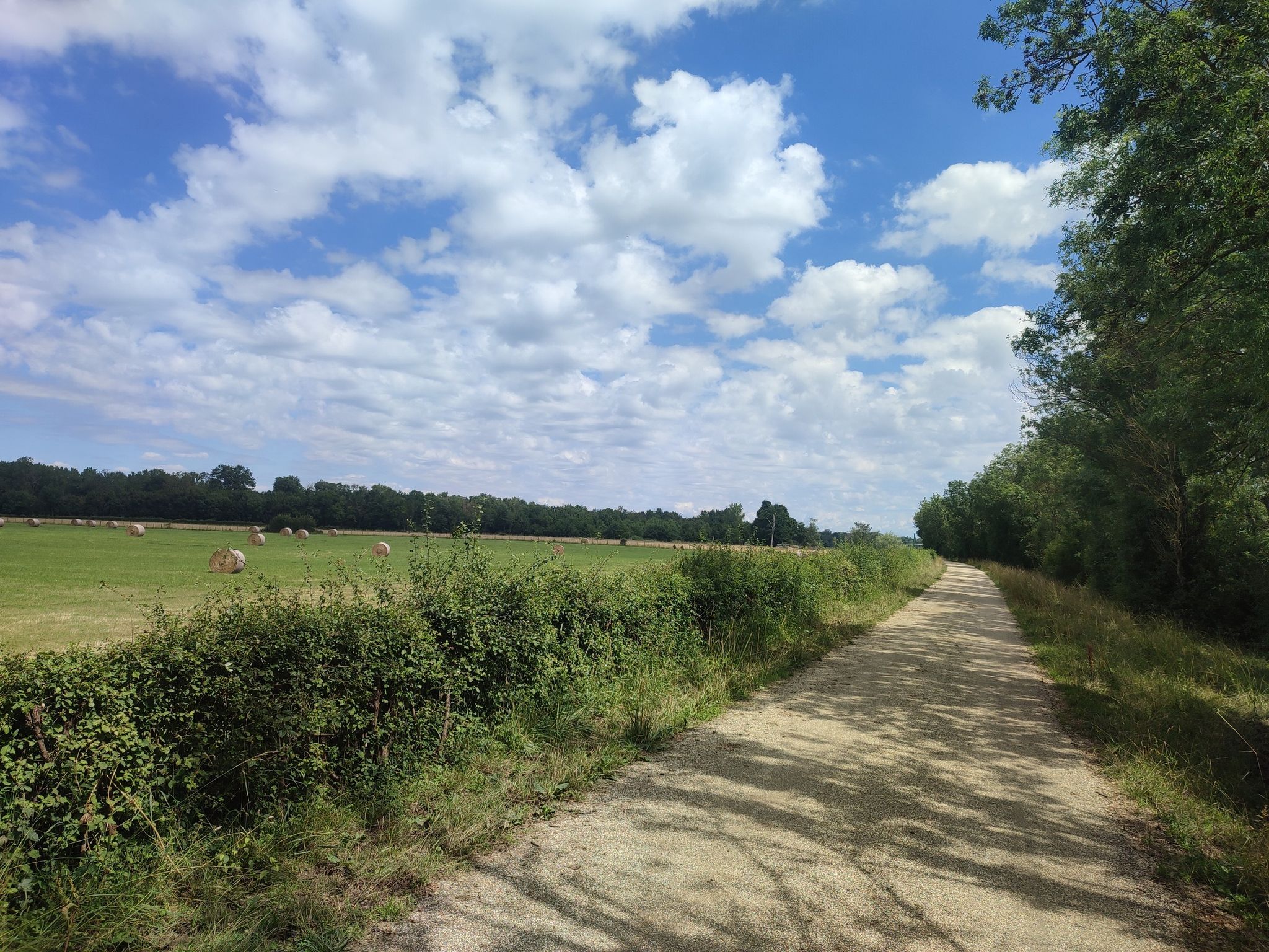 Natur pur