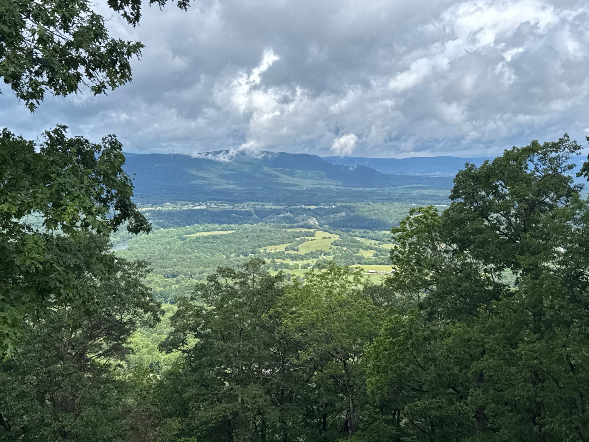 Overcast mountain view through trees, showing a valley below. - Shenandoah Valley Overlook – Dickey Ridge Visitor Center loop from Front Royal