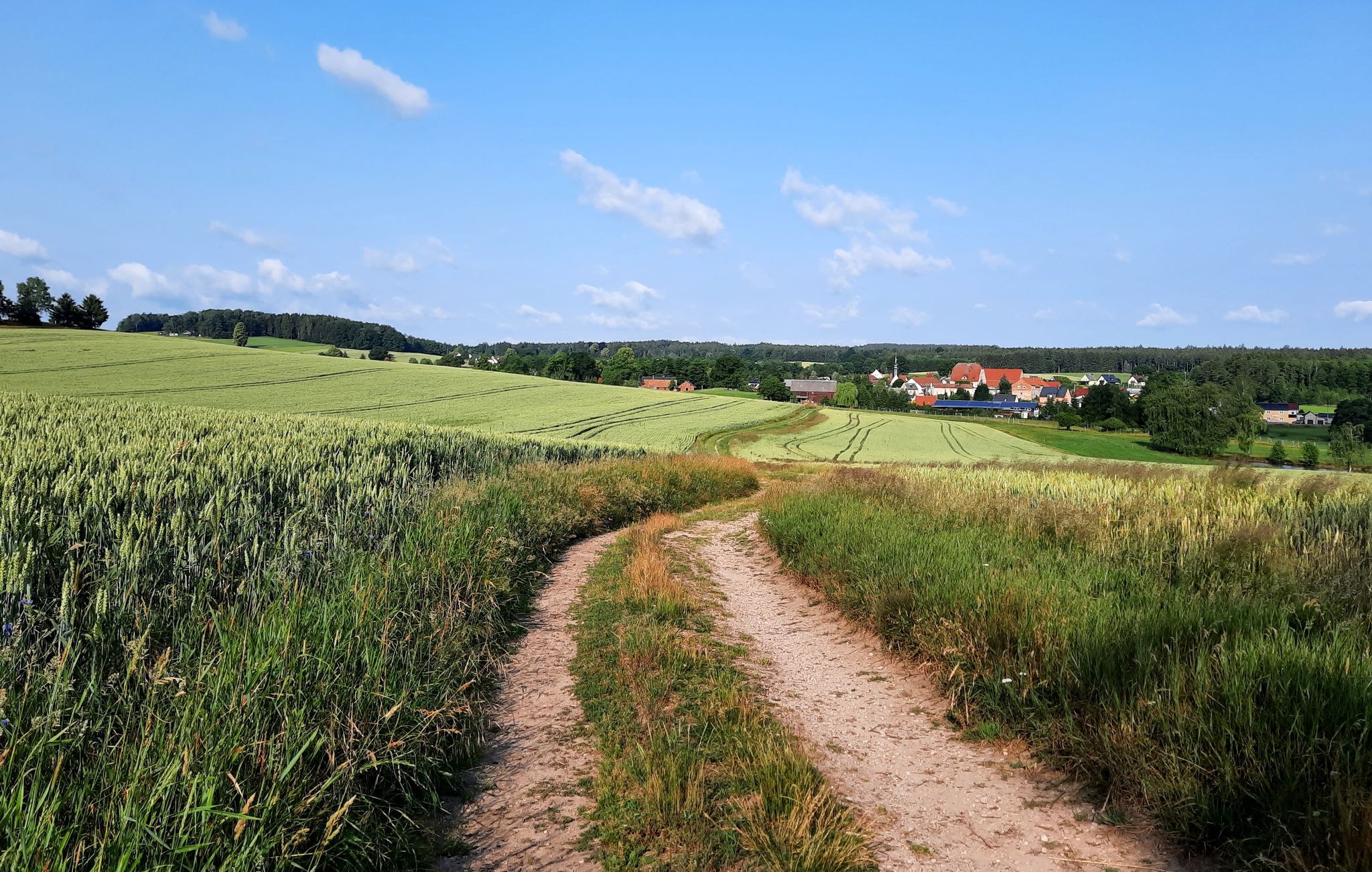 Blick nach Irfersgrün