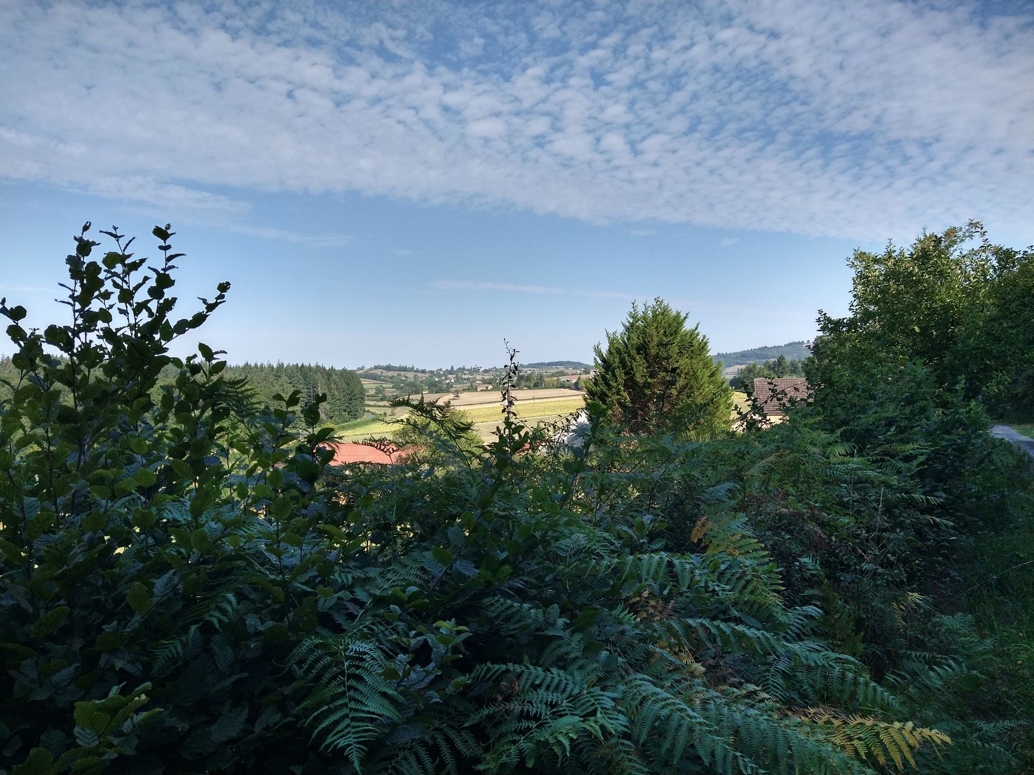 Vue sur Uxeau
