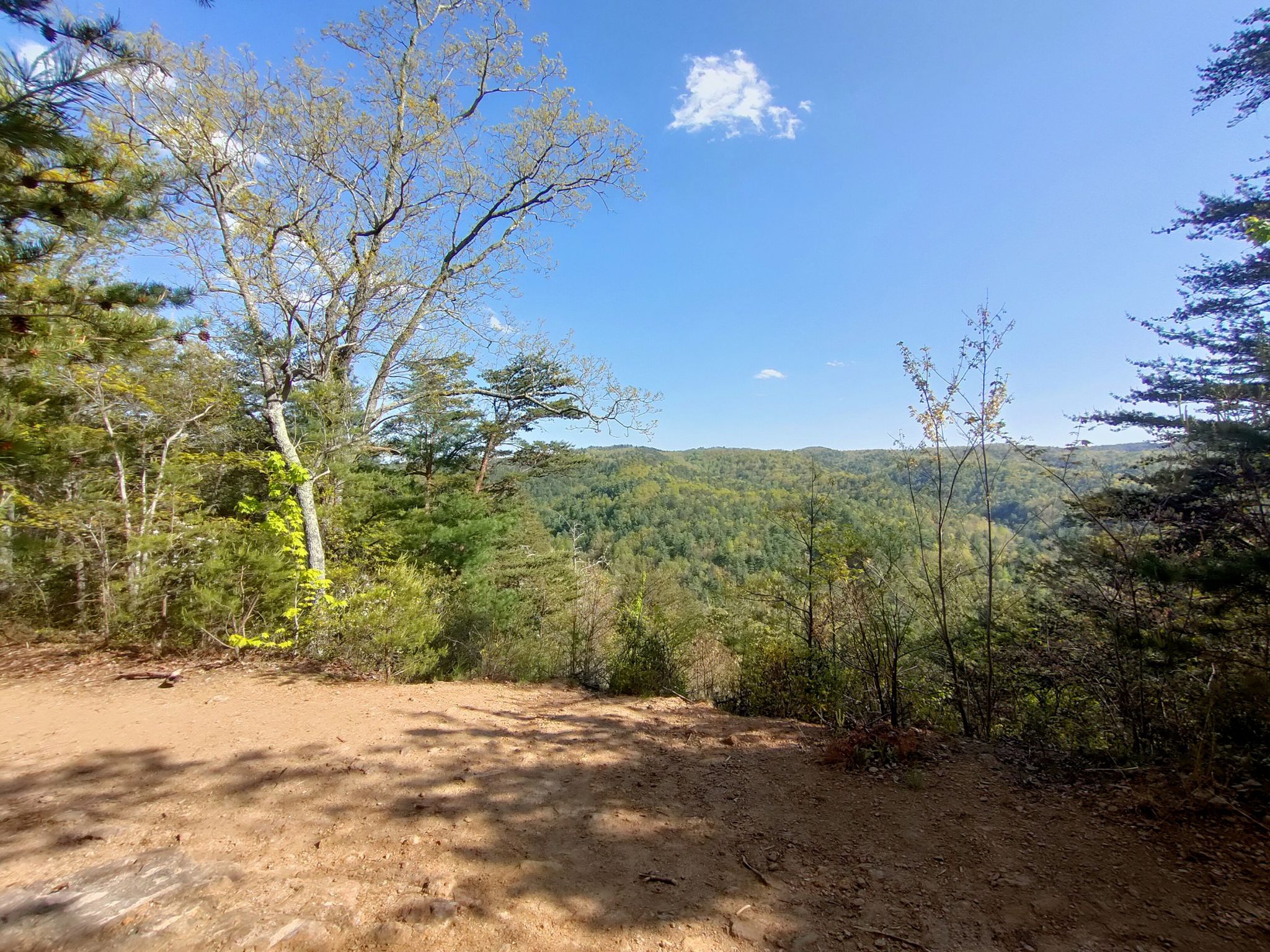 A dirt overlook provides a sunny view of a vast, green, forested valley. - South Mountain State Park loop