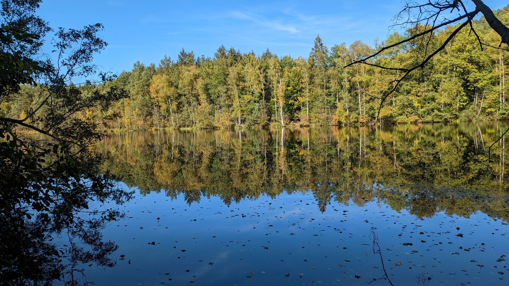 Erbsenweiher
