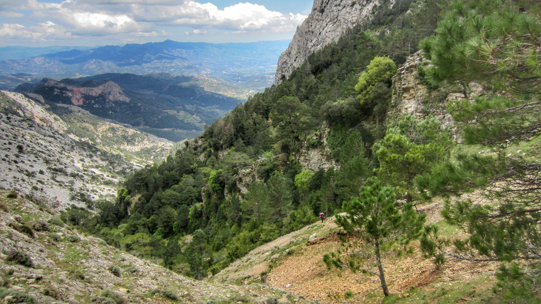 la pujada pel Barranc de l'Escudelleta és feixuga.