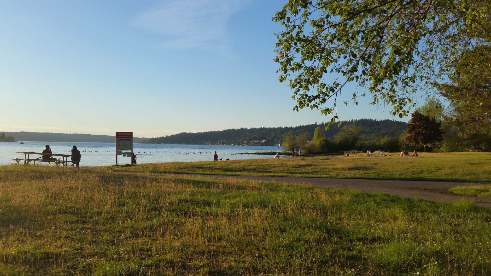 Golden hour light on a grassy park by a lake with people relaxing. - Tibbetts Creek Trail