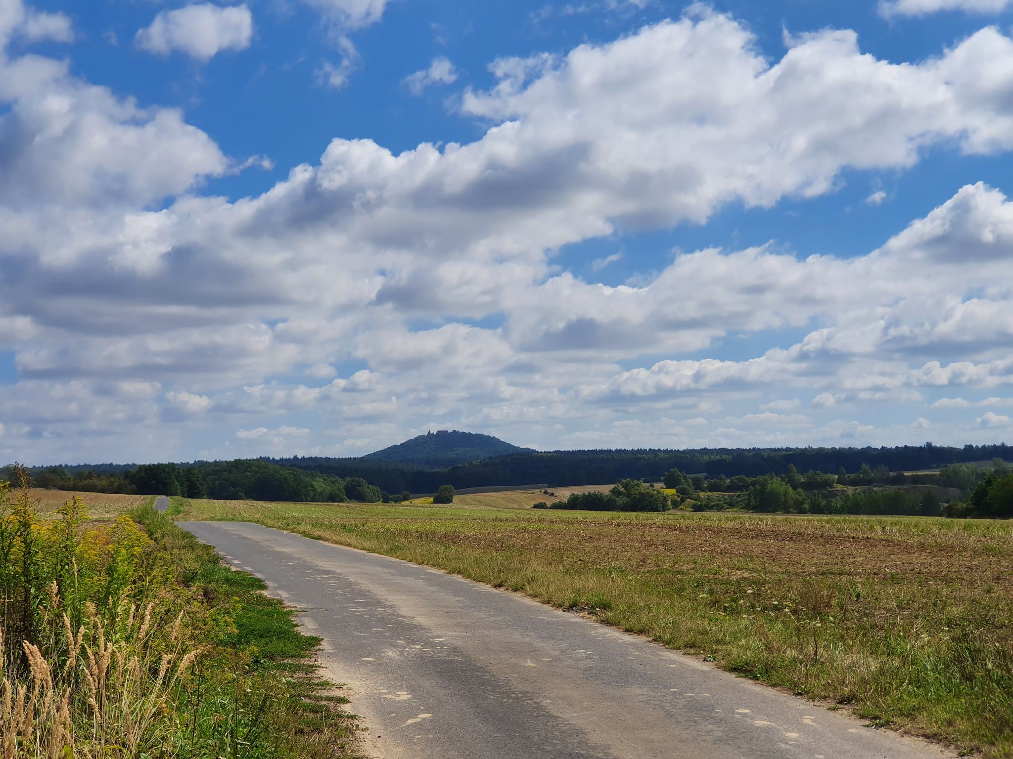 Widok na Zamek Grodziec
