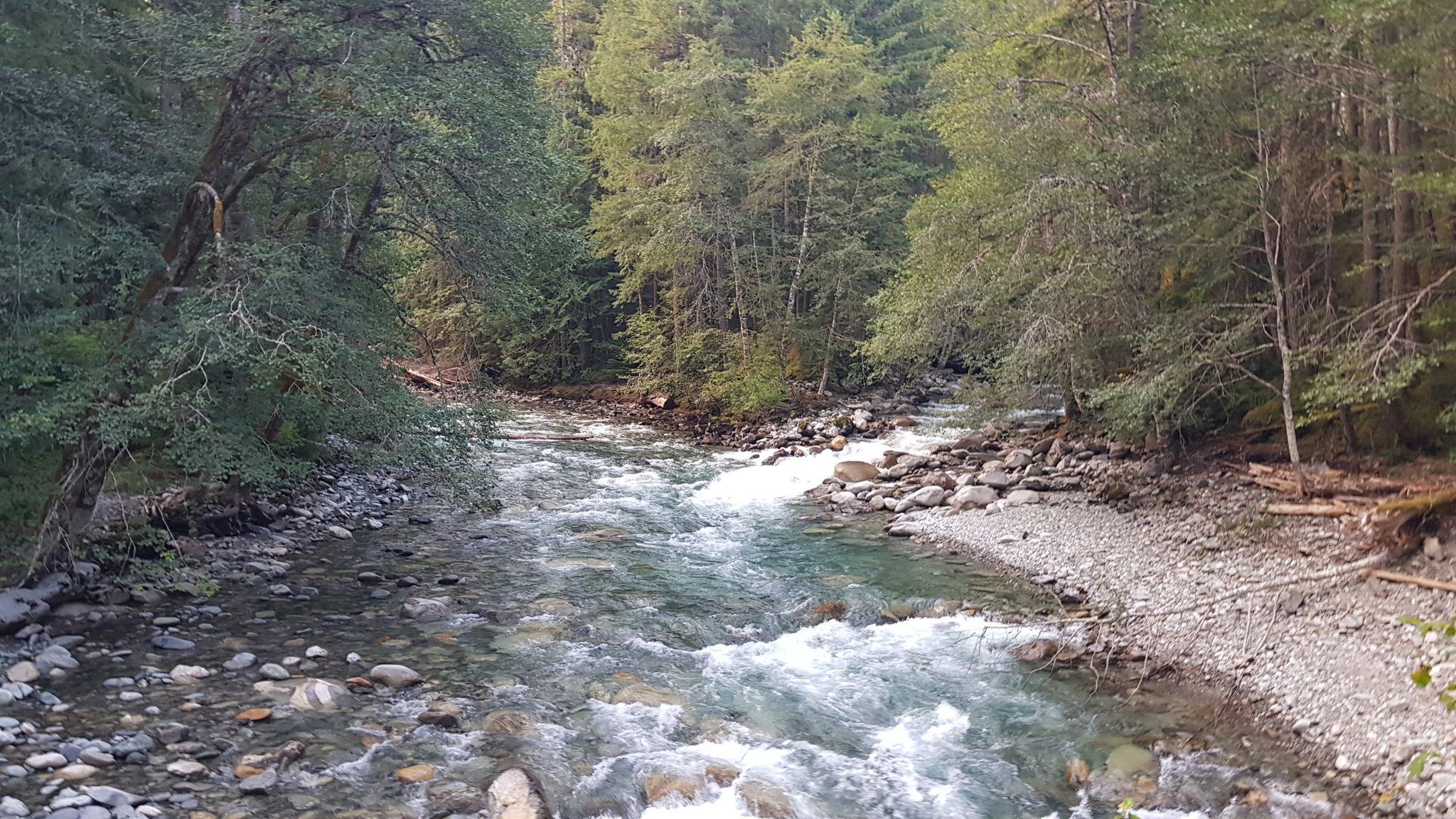 Rushing river with rocky banks flowing through a dense green forest. - East Bank Trail to Hidden Hand Camp