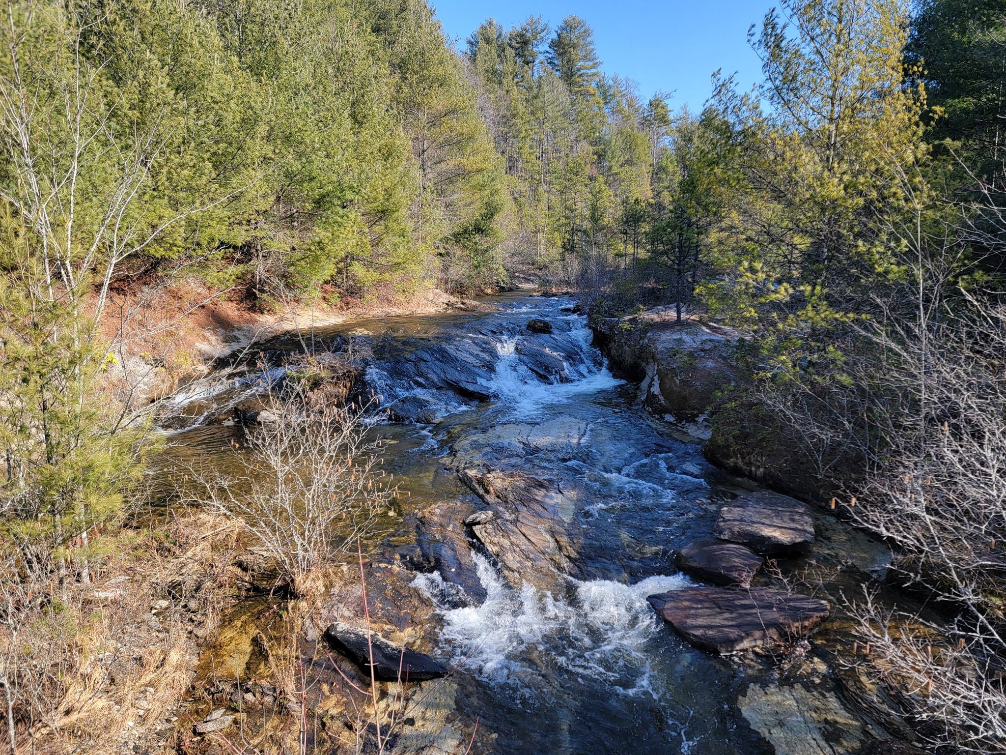 A clear river flows over rocks through a sunlit evergreen forest. - Lake Dense – Bridal Veil Falls loop from Stone Mountain