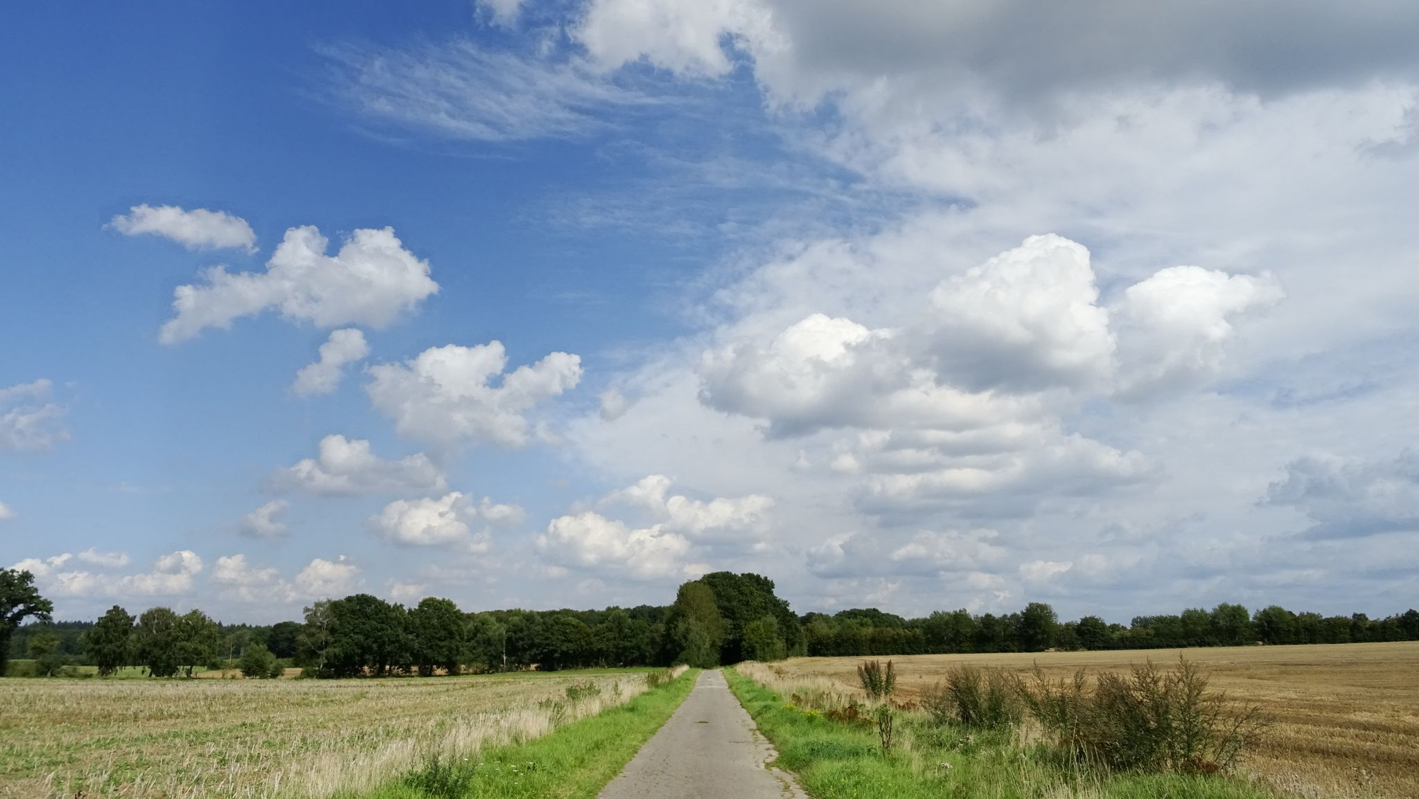 wolkige Wege