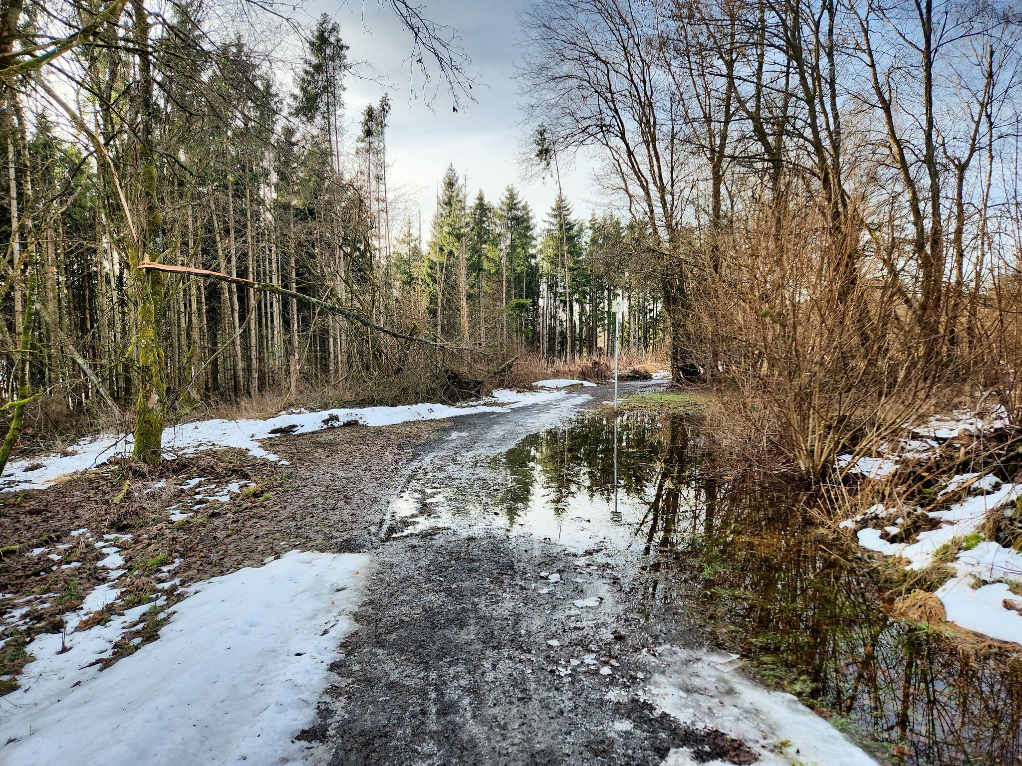 Neuer See bei Heisterberg
