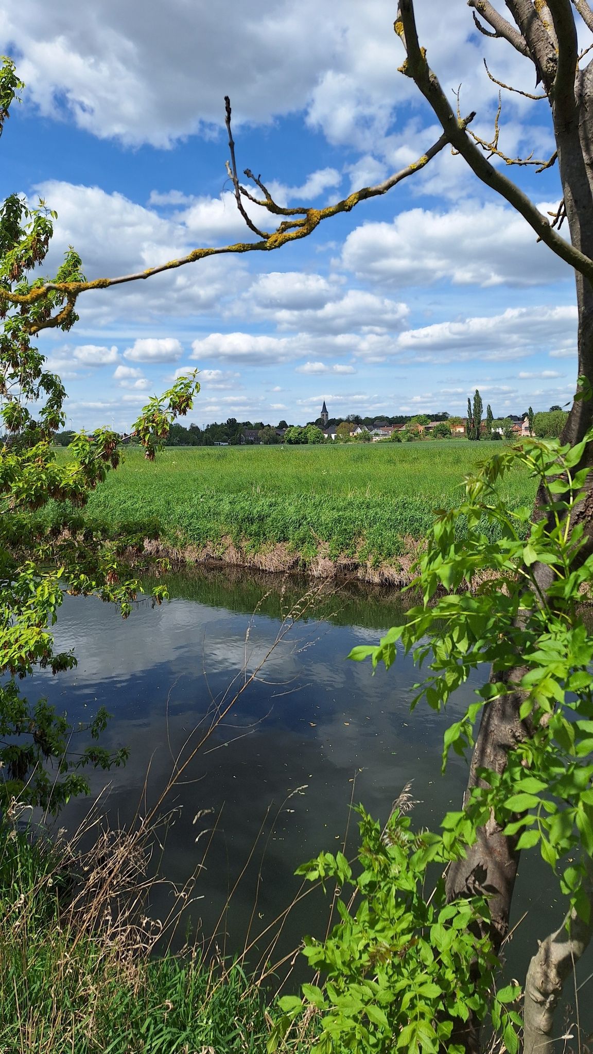 Wolmiersleben