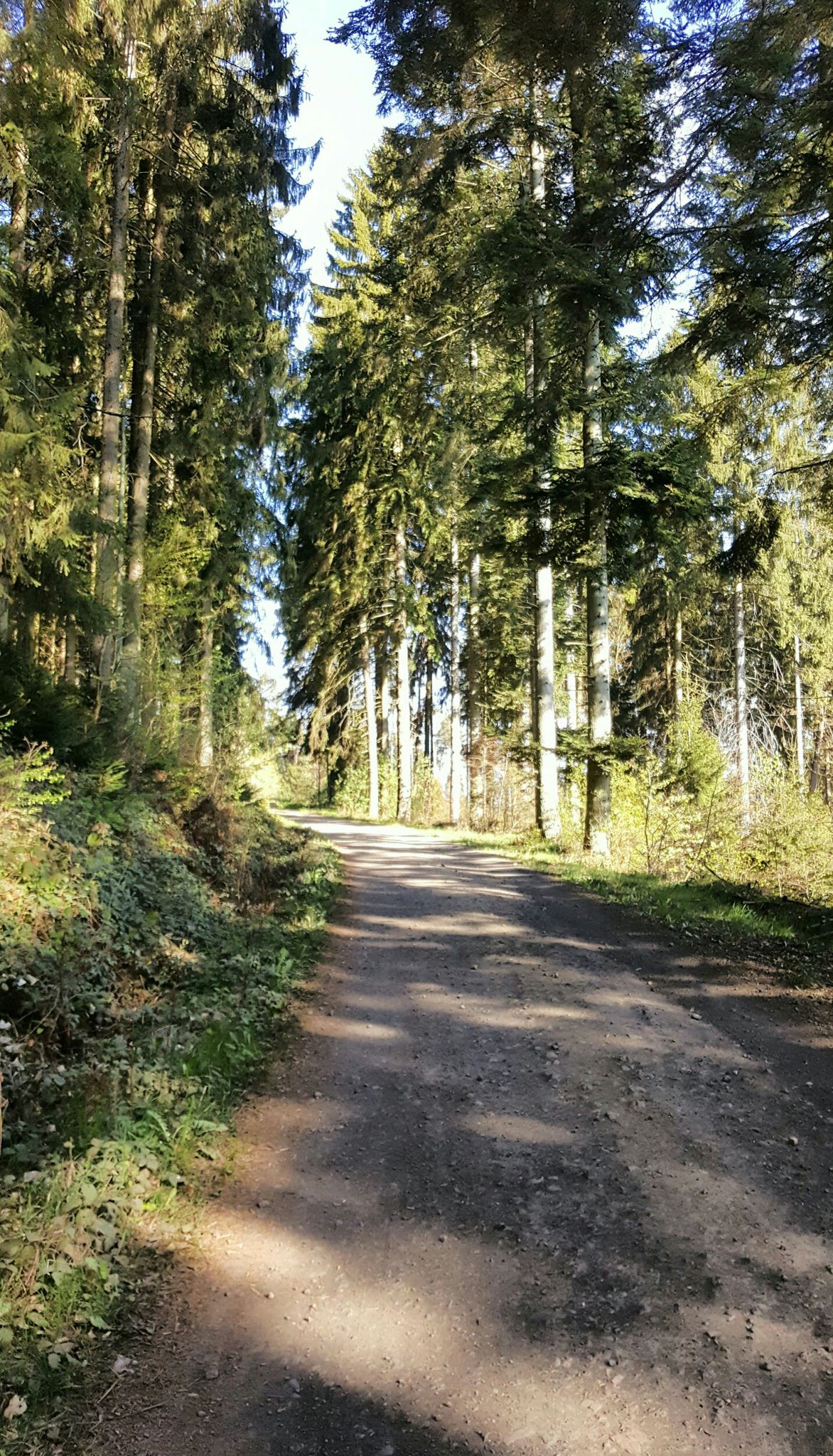 Start um 9.30h am Parkplatz "Am Holzbeuel"