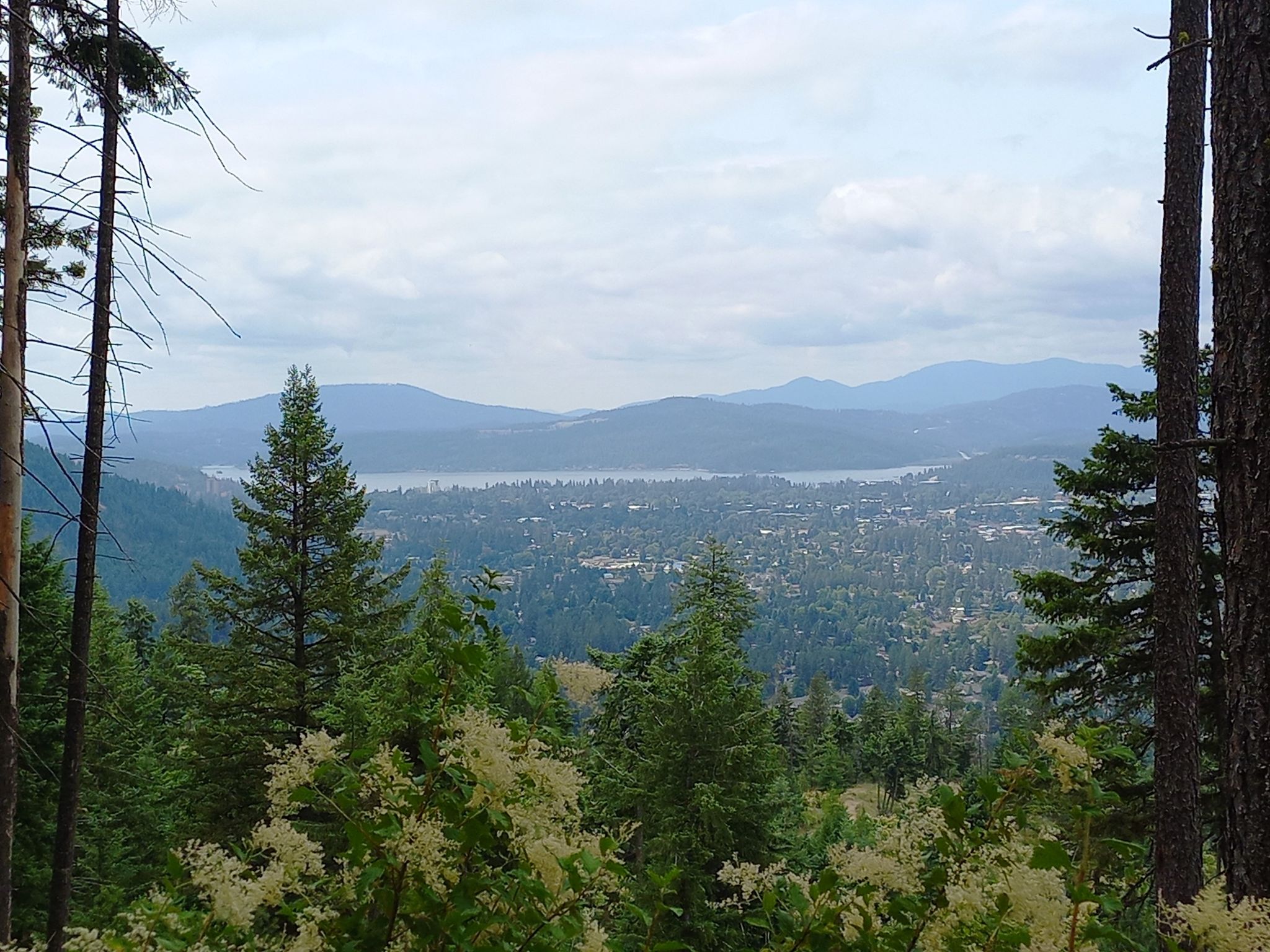 Overcast panoramic view of a lake, town, and mountains through trees. - West Canfield Butte loop from Dalton Gardens