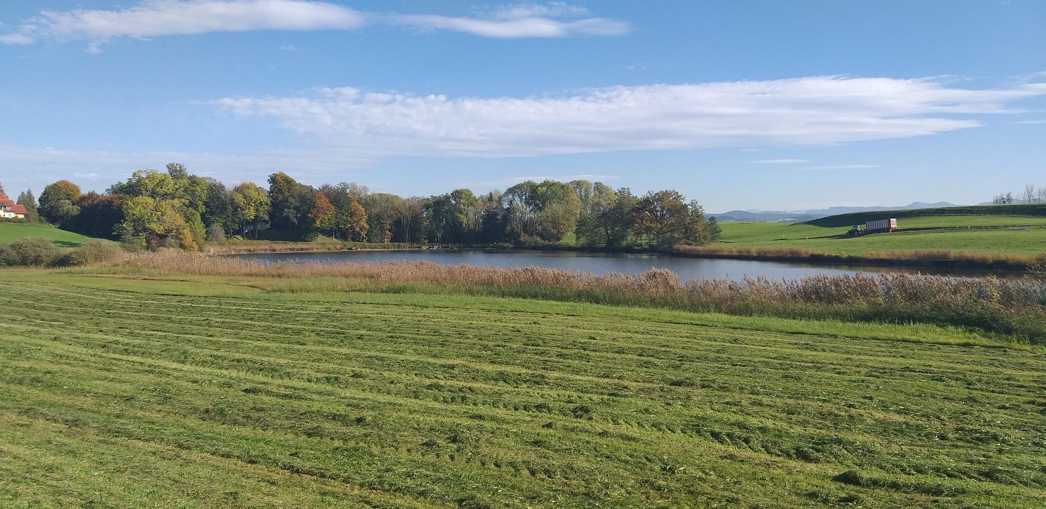 Schloßweiher