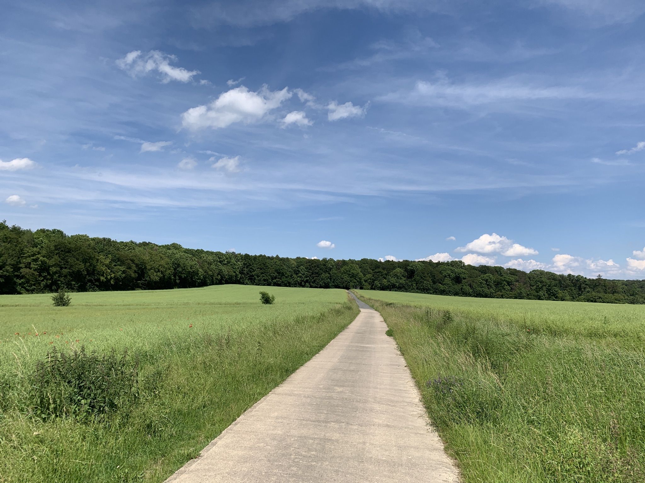 Umkehrpunkt