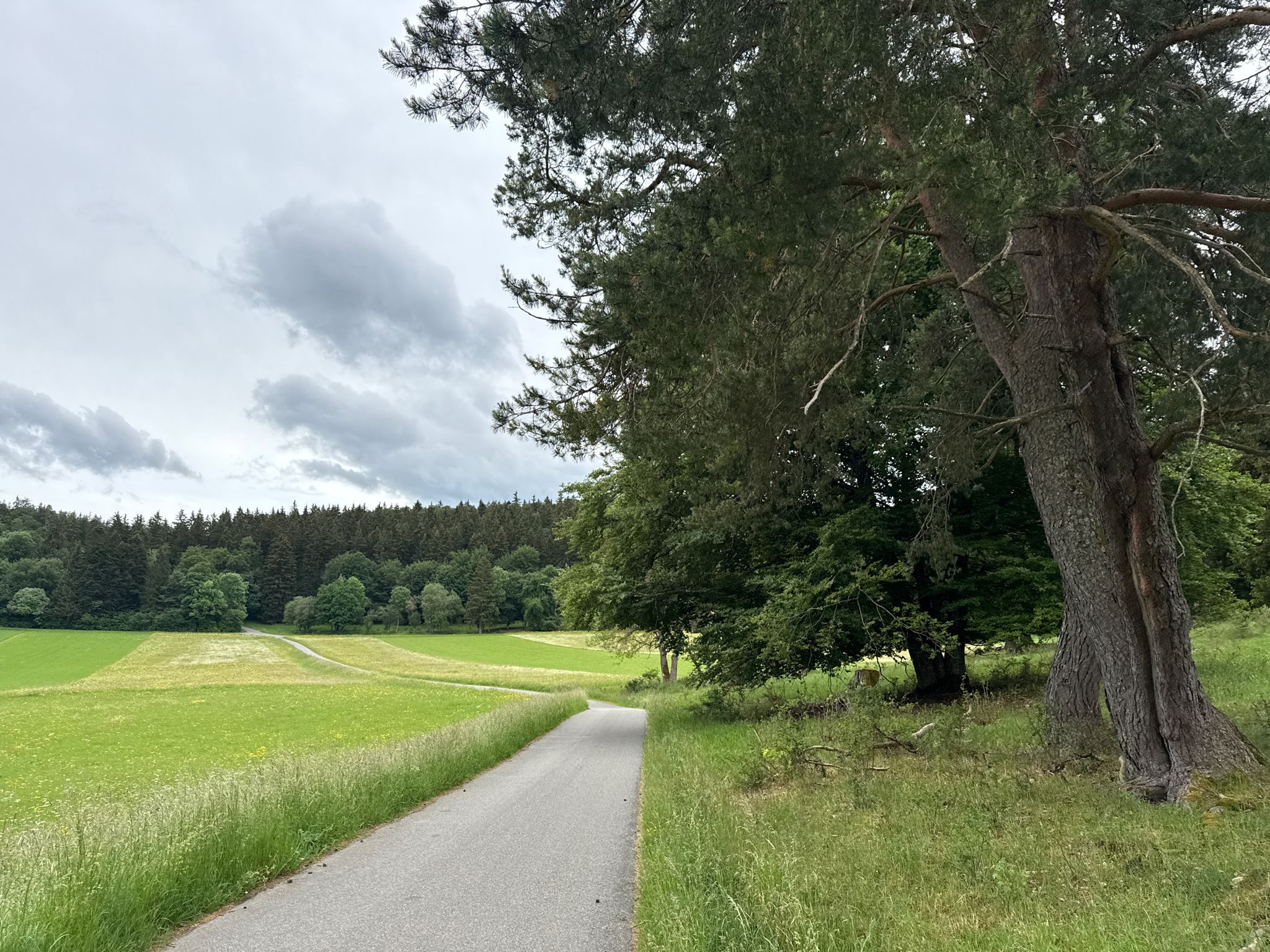 Schöner Weg 🥾🏞 - Steighöfe 🏞 - Naturpark Obere Donau 🥾🏞🌲🌳 - Nusplingen - Zollernalbkreis