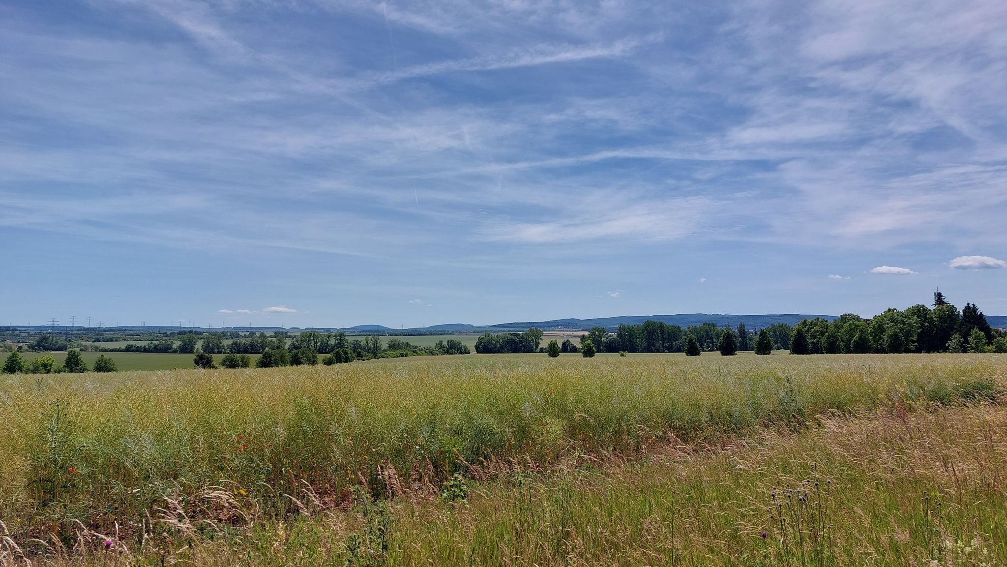 Thüringer Wald in Sicht