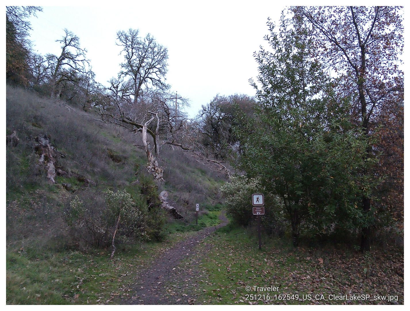 Dirt path leads into a wooded area with a steep hillside, under overcast sky. - Kelsey Creek and Dorn Nature Trail Loop